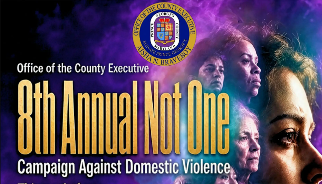 8th Annual Not One Campaign Against Domestic Violence