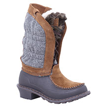 FW Park City Dachshund