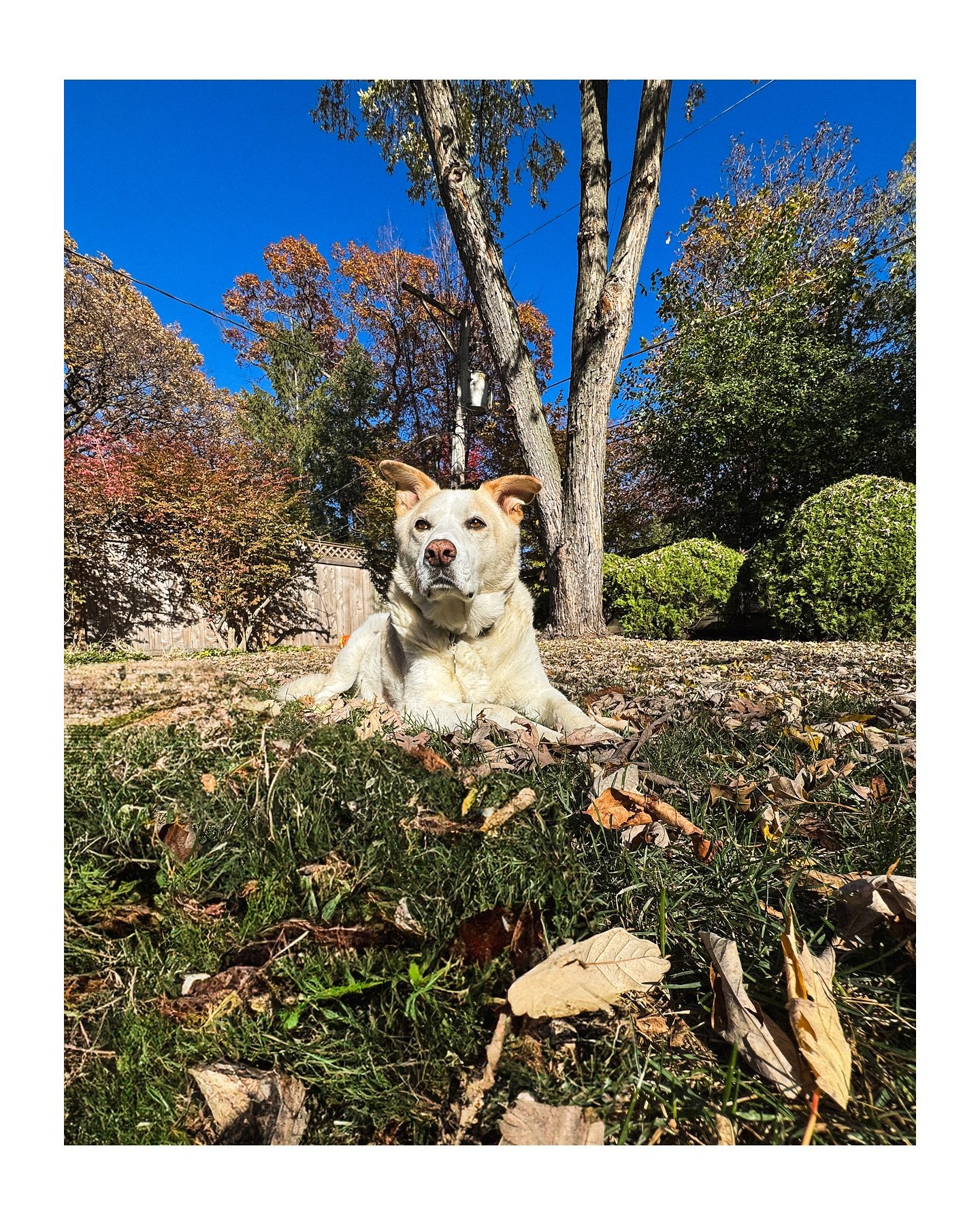 Bryce in his crispy fall element