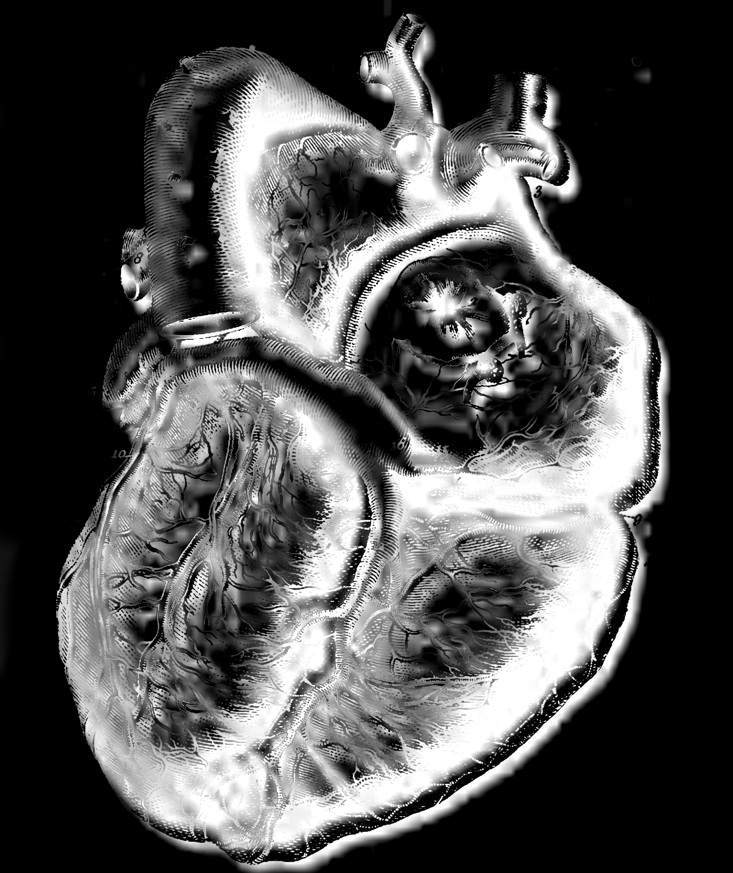 ALLVALDR.