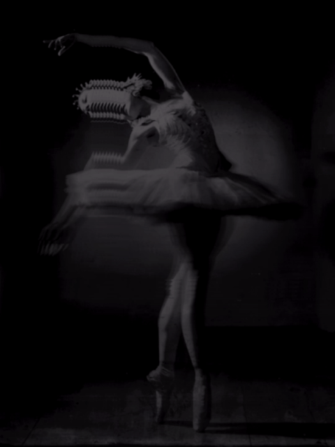 ezgif.com-resize-2.gif