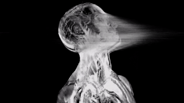 ezgif.com-video-to-gif copy 2.gif