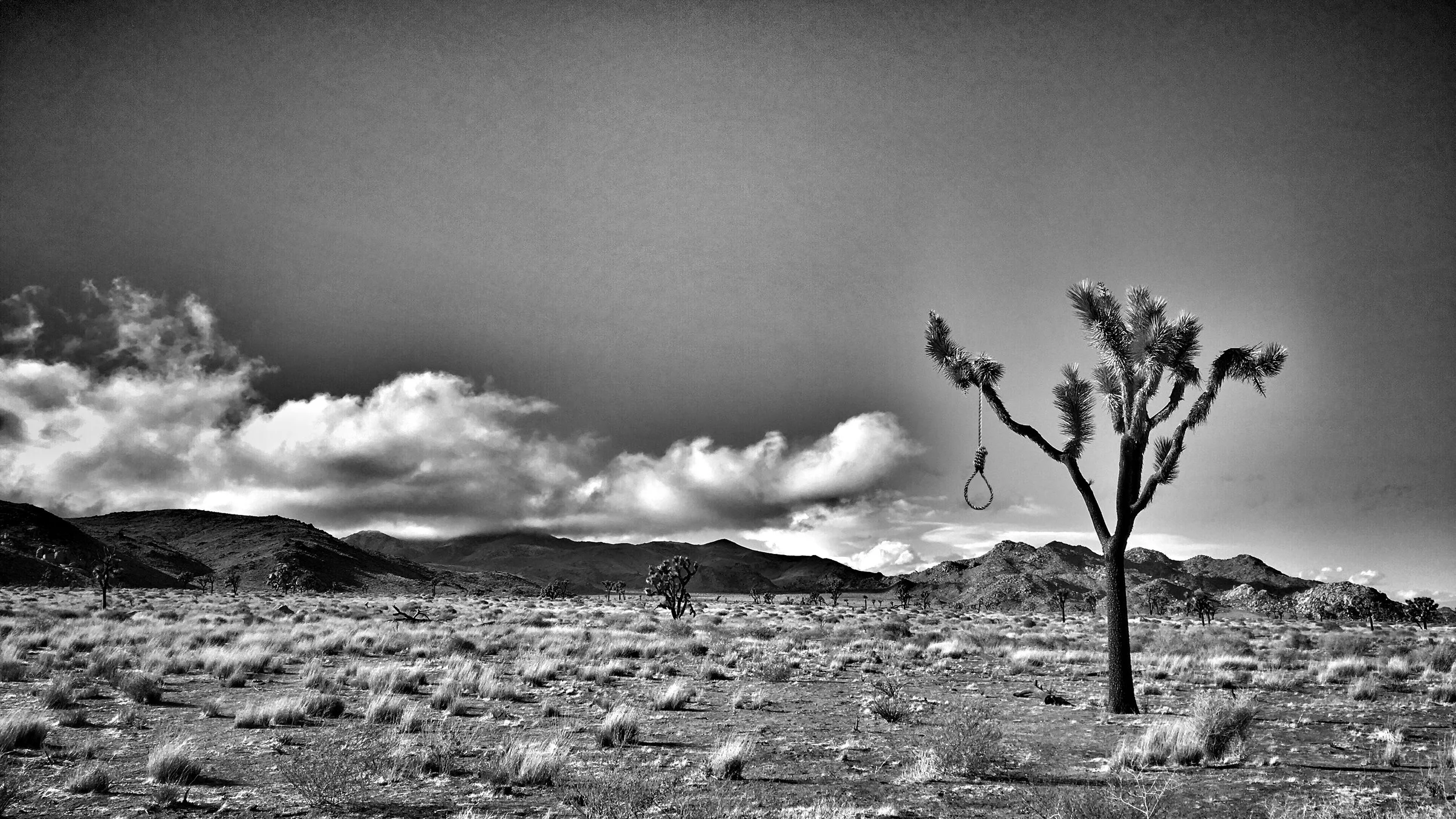 Snapseed-2.jpg