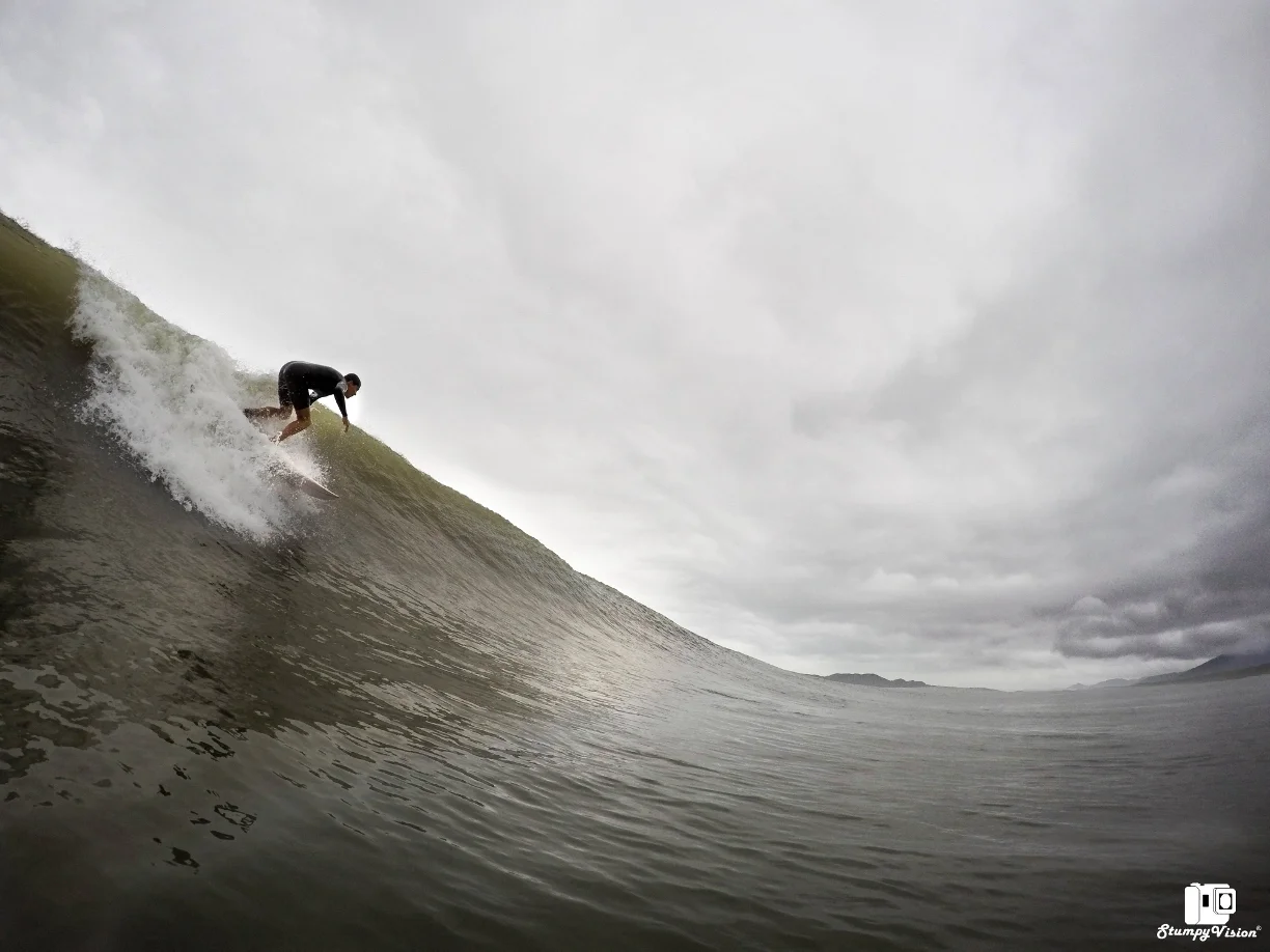 Gus on a tasty section.