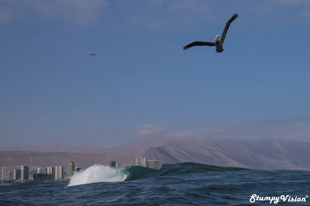 Chile Teahupoʻo Surf Blog 17.jpg