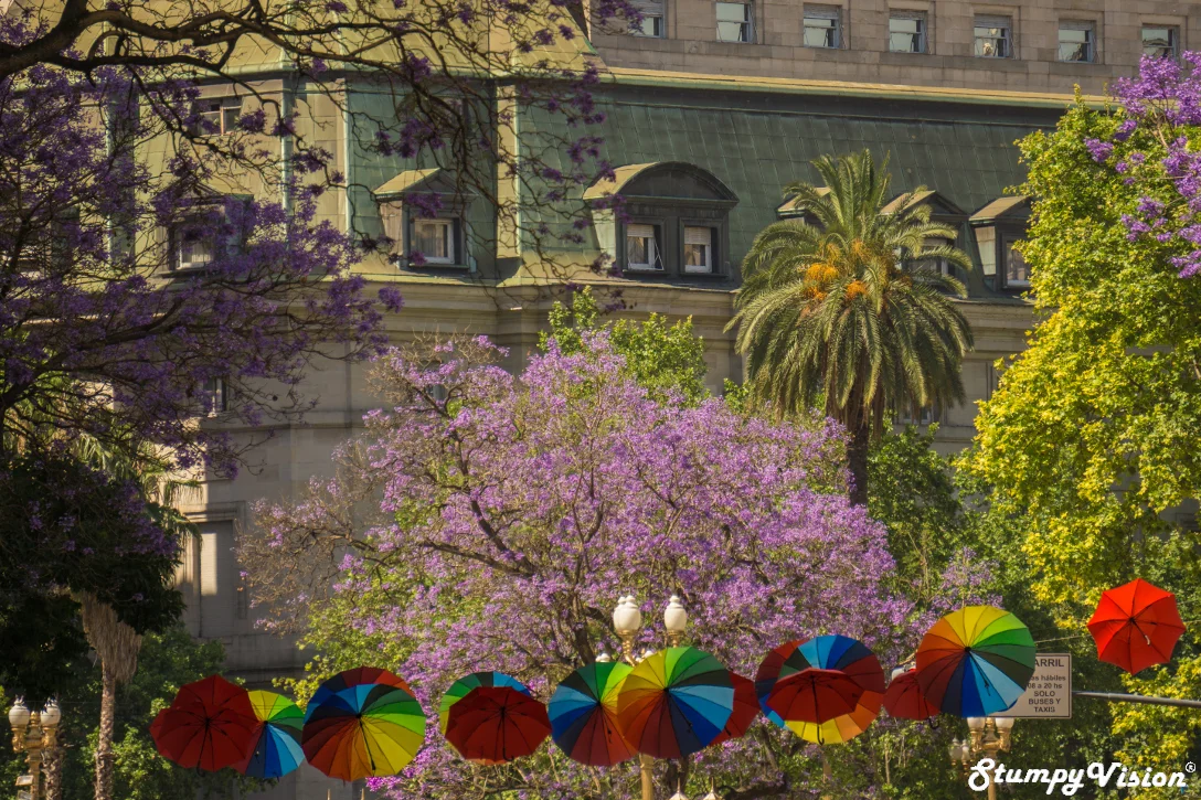 The beautiful colours of Buenos Aires.