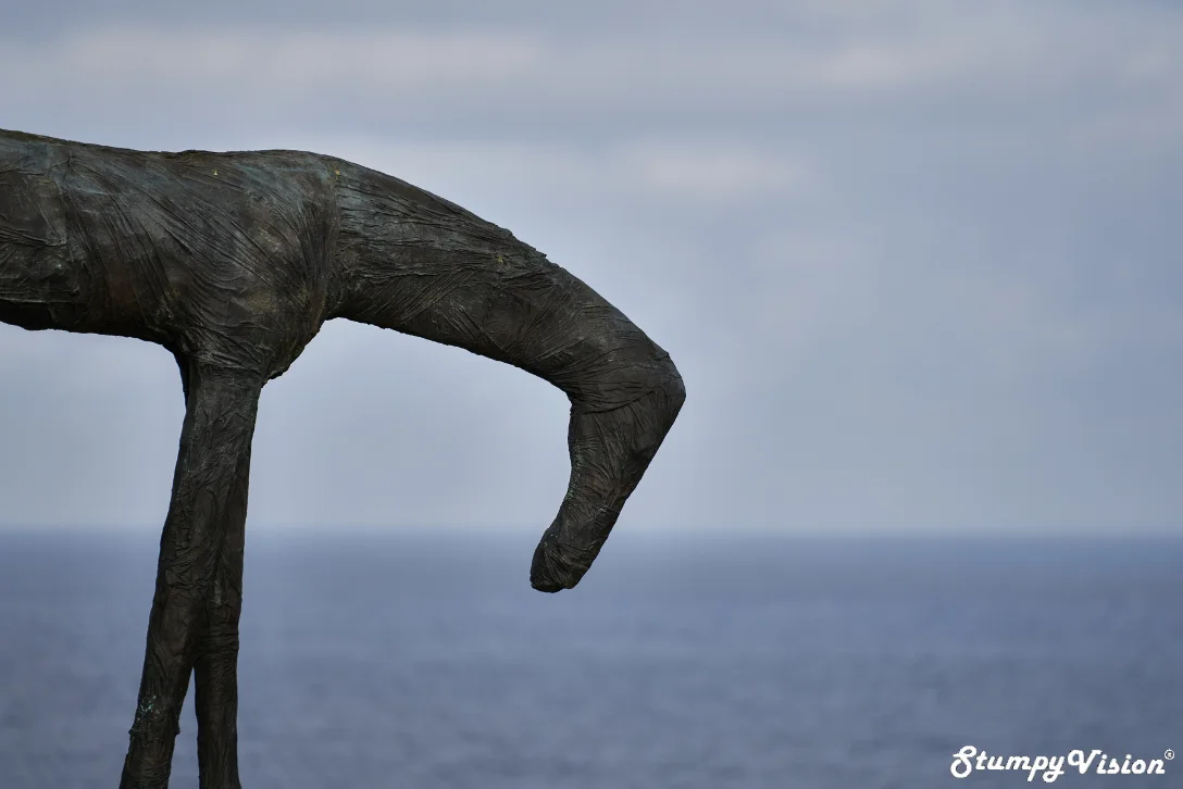 Yu Fan, Wrapped Horse . There is something fantisical about this one.