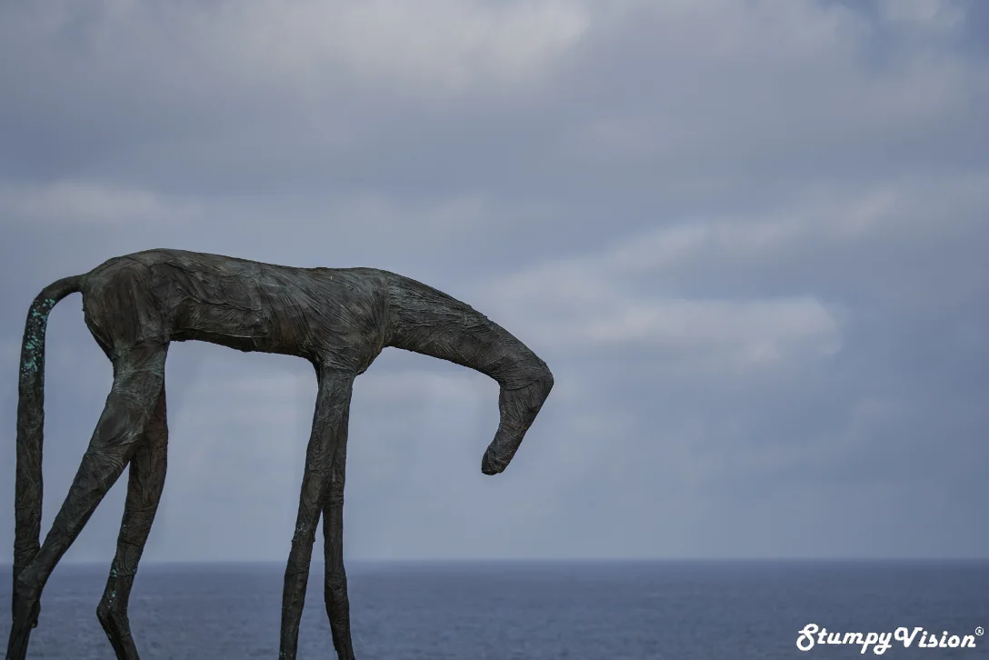 Yu Fan, Wrapped Horse .