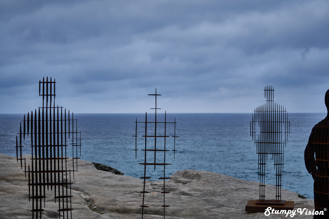 April Pine, Shifting Horizons . One of my favourite displays as it offered so many angles and options to shoot. Love this moody image but would of loved to have shot them with a vibrant sunset backing also.