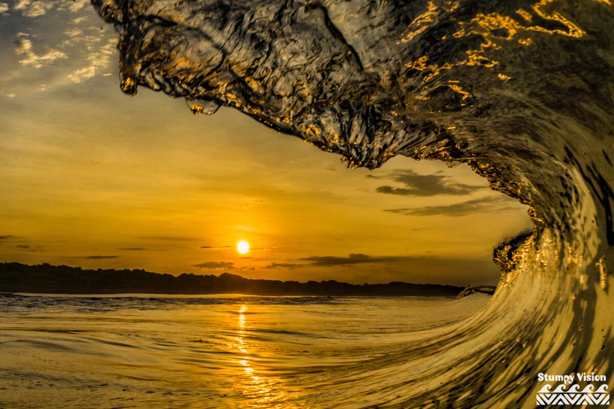 World's First Surfing NFT's