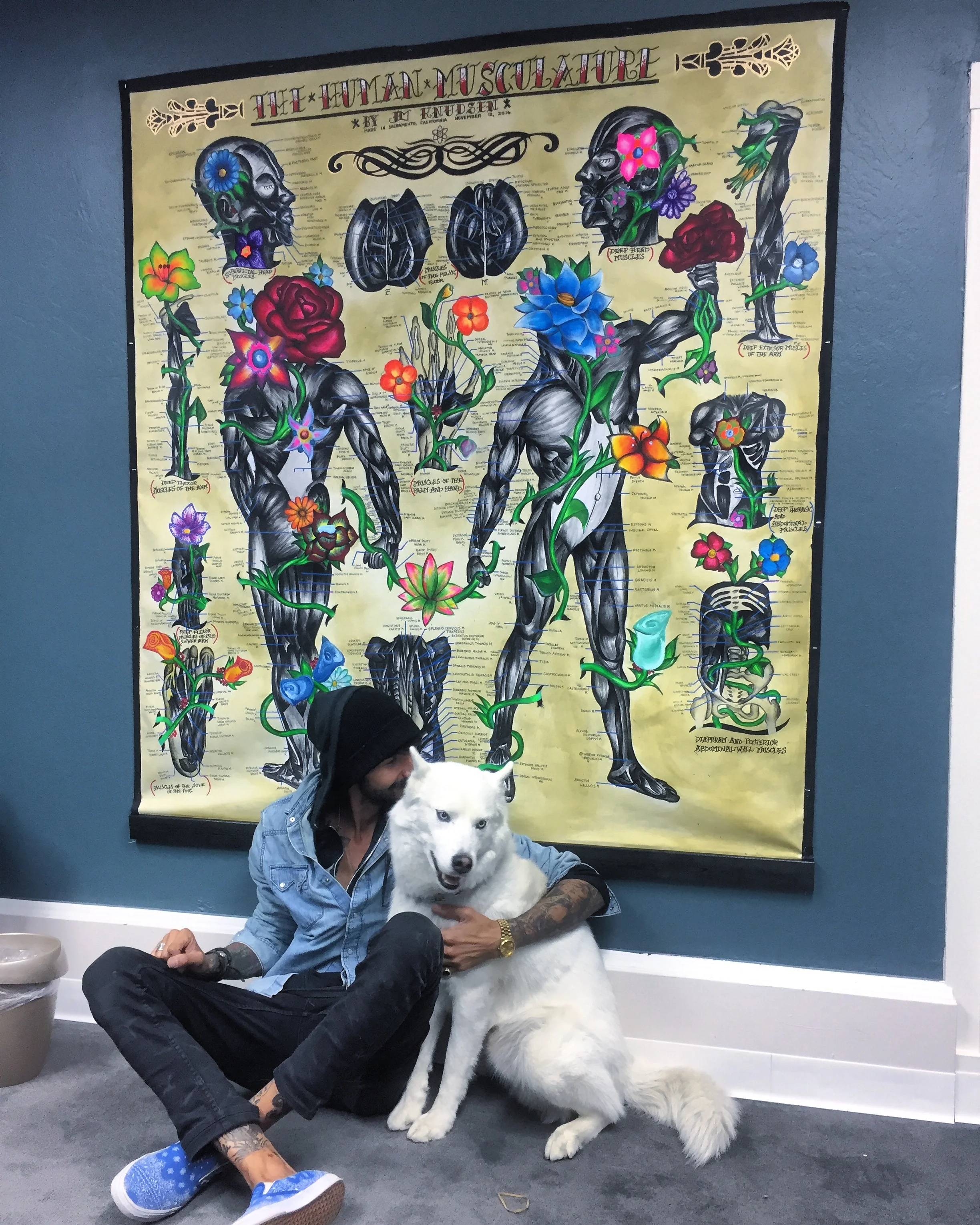 The Human Musculature (2016)