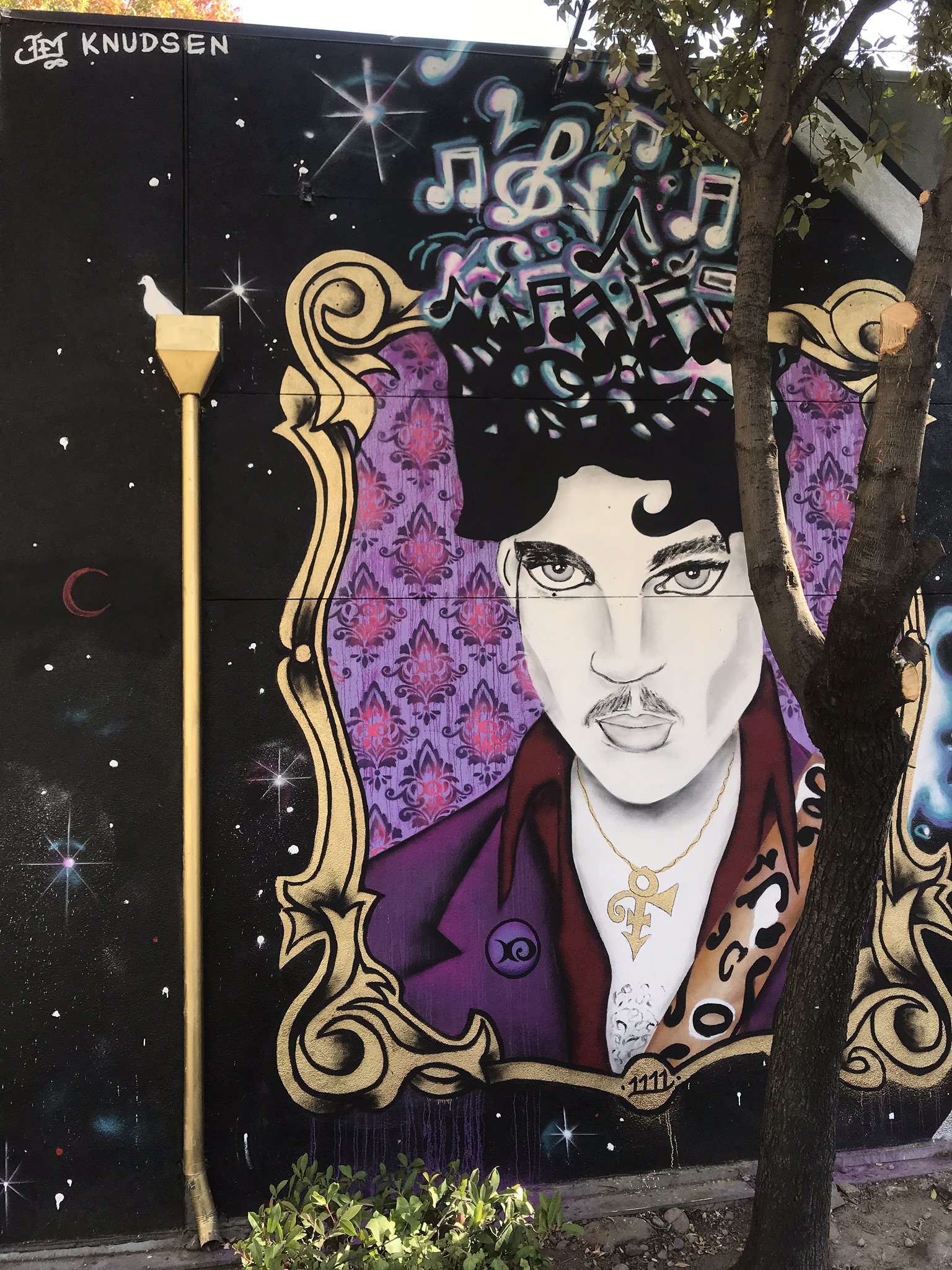 Prince (2018)
