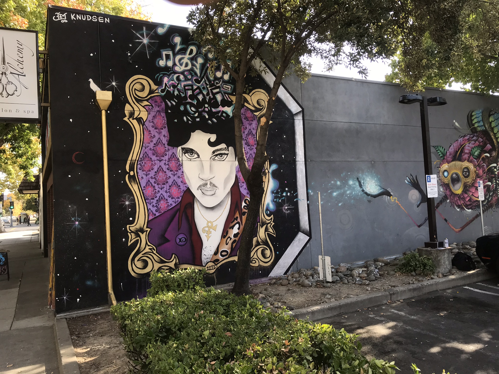 Prince (2018)
