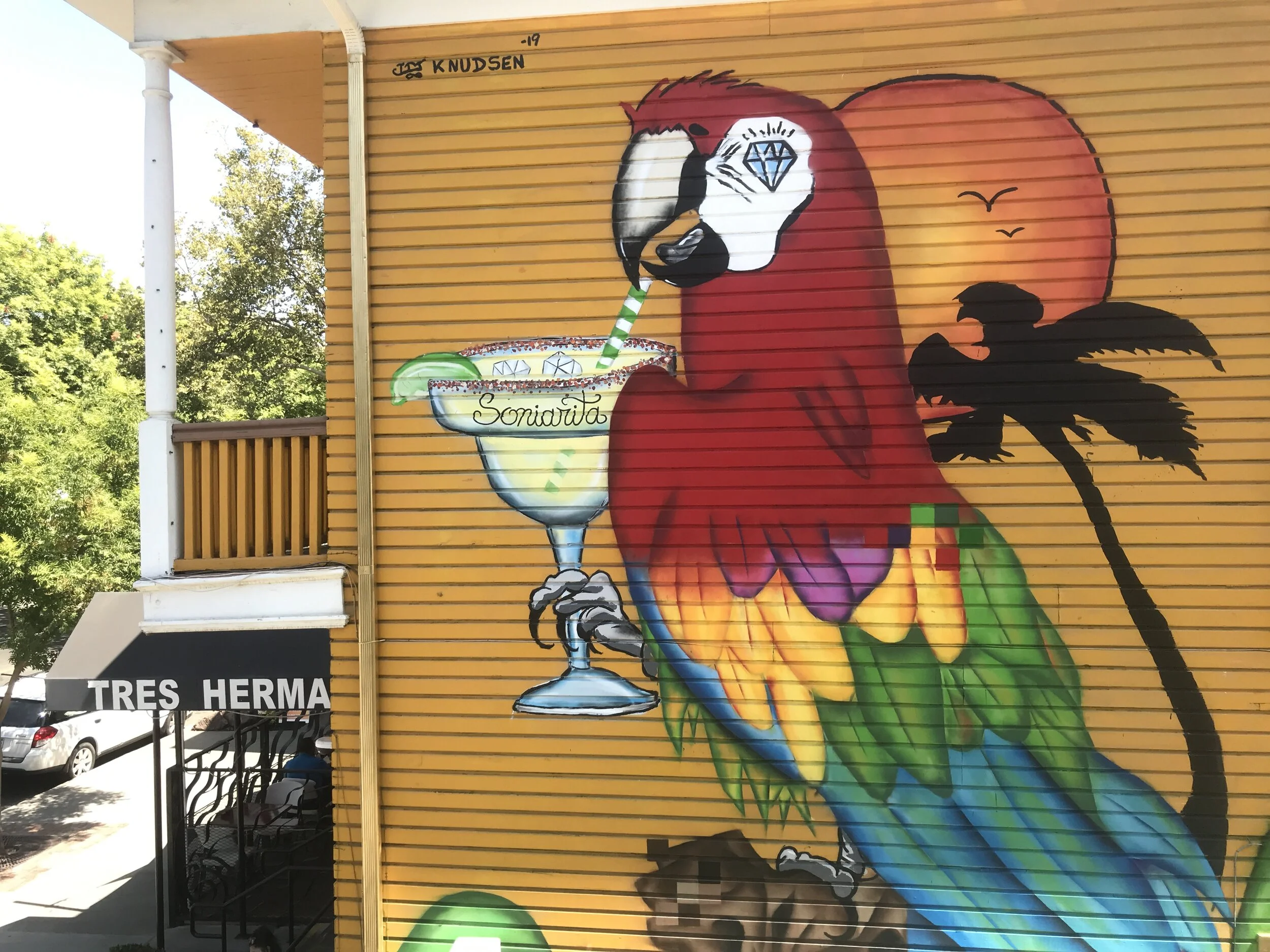 Soniarita (2019)