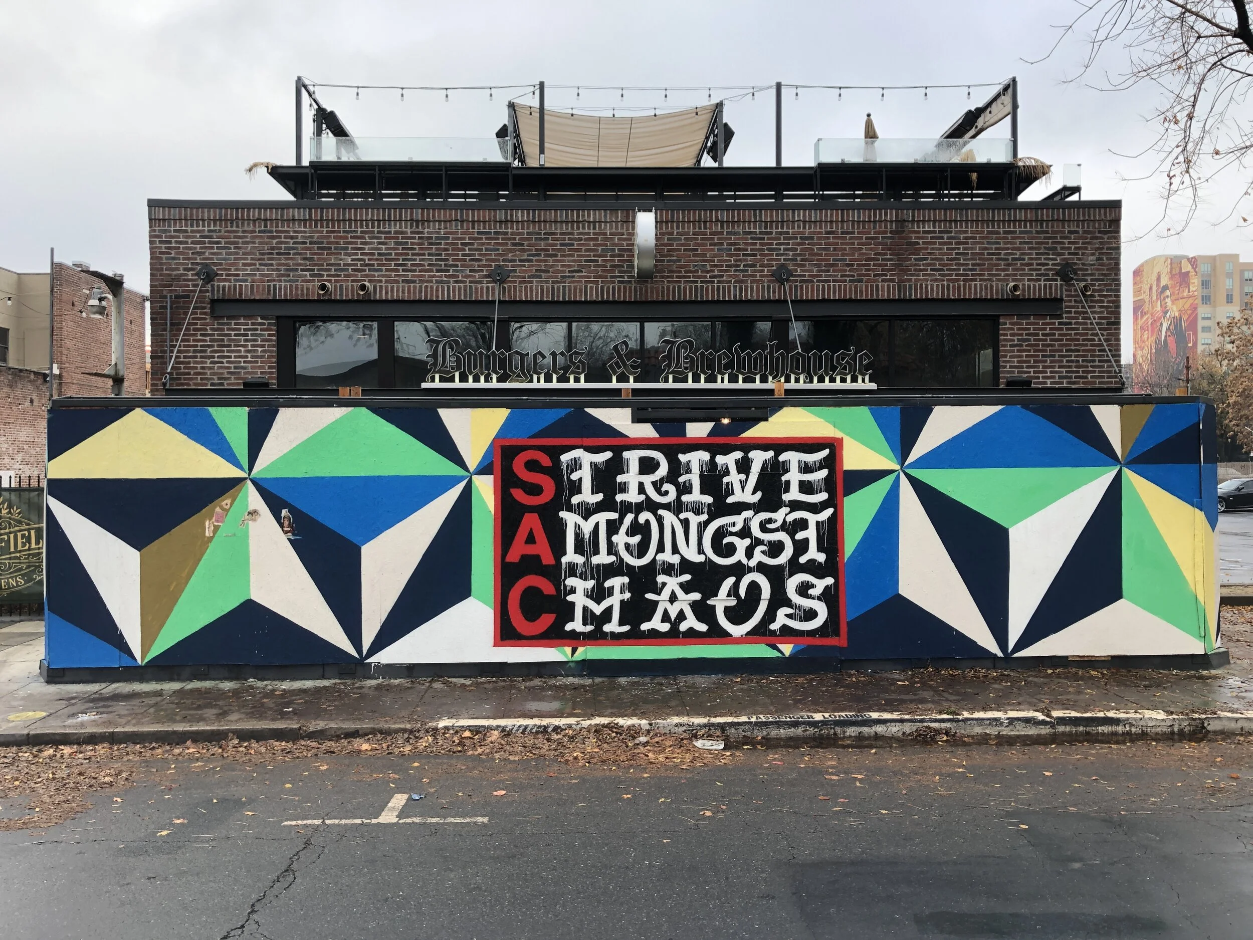 Strive Amongst Chaos (2020)