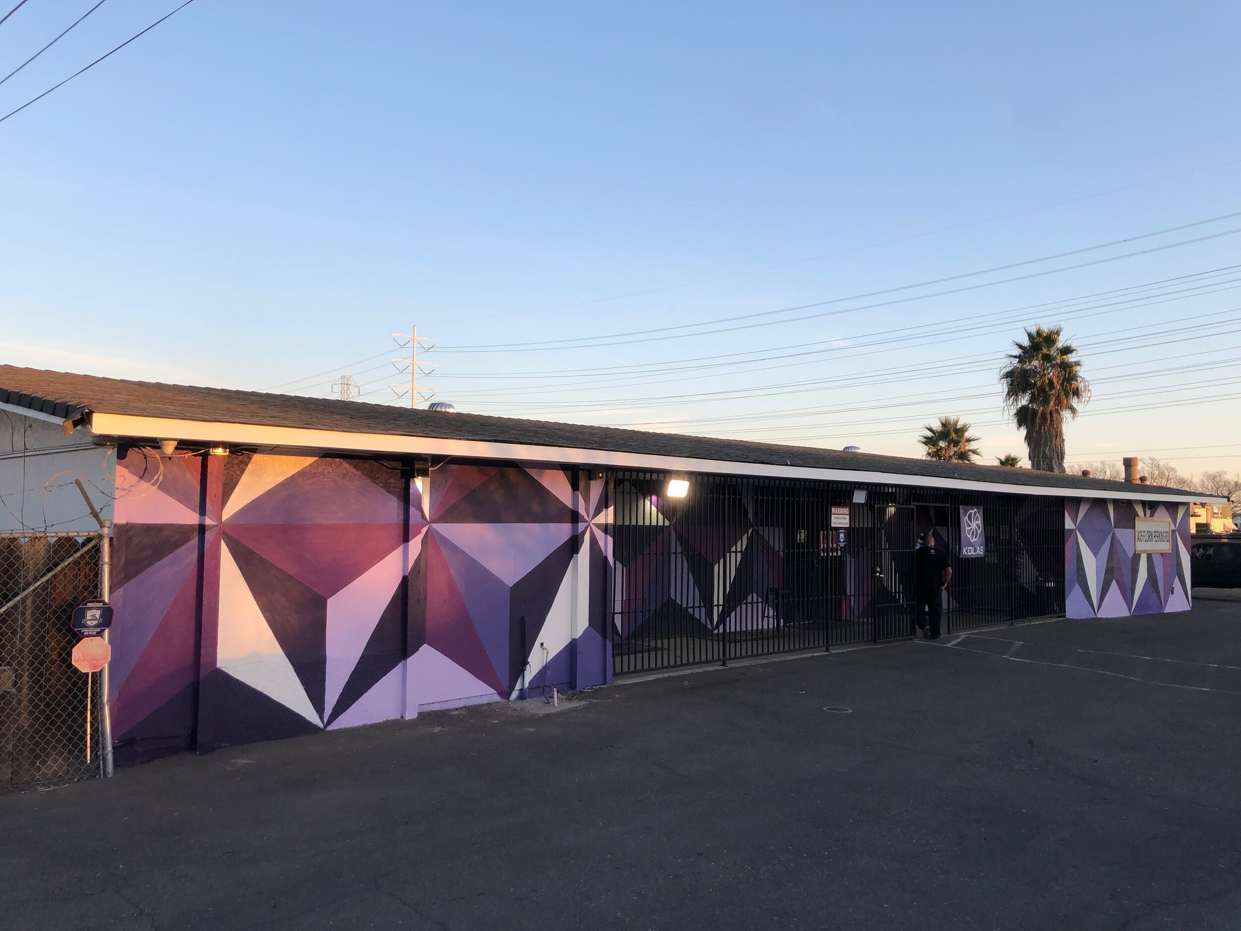 Purple Blaze (2021)