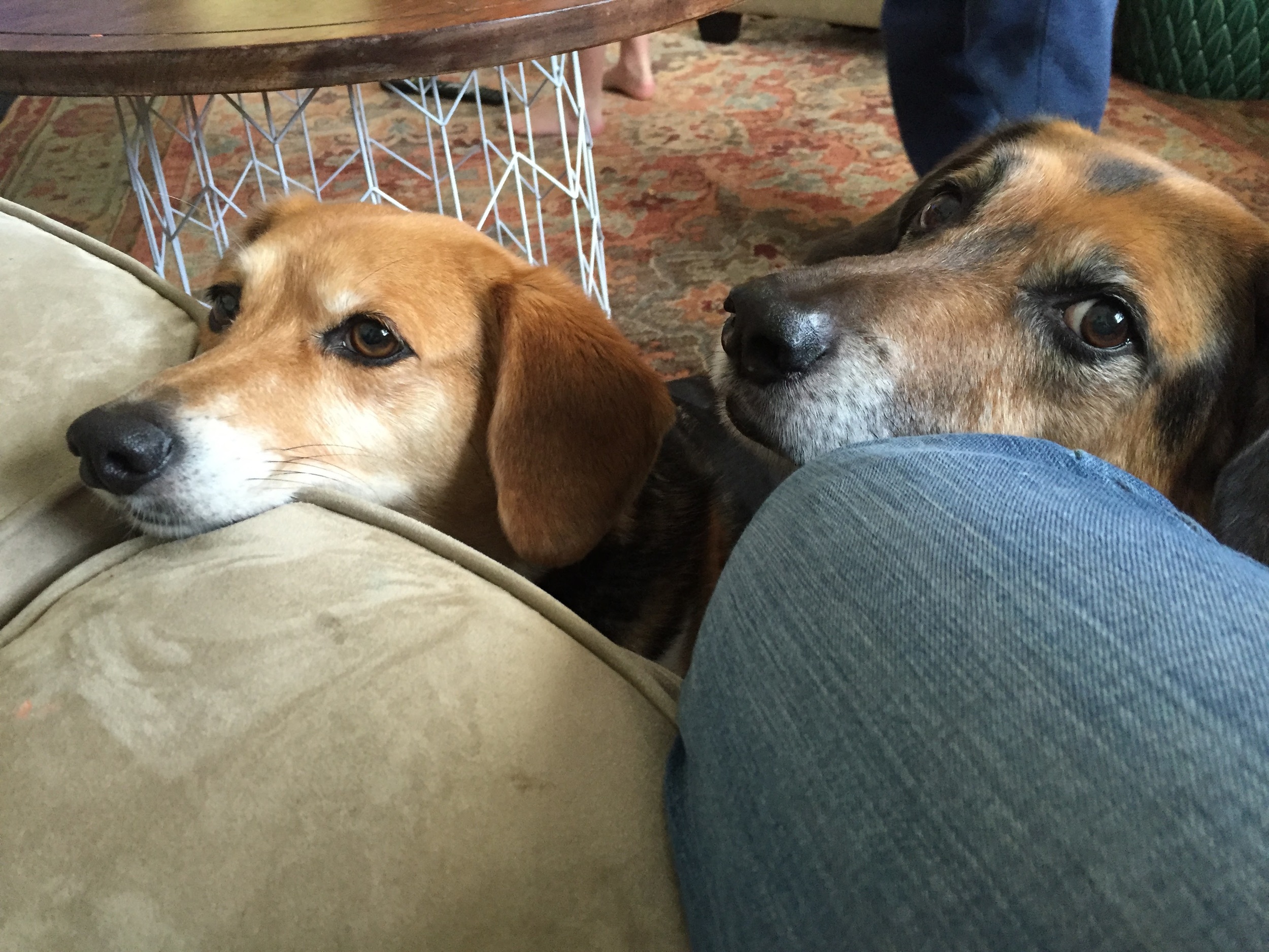 Bonnie and Cody, being subtle.