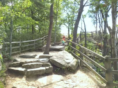 A tree grows right in the middle of the path. It was amazing to see where trees would grow.