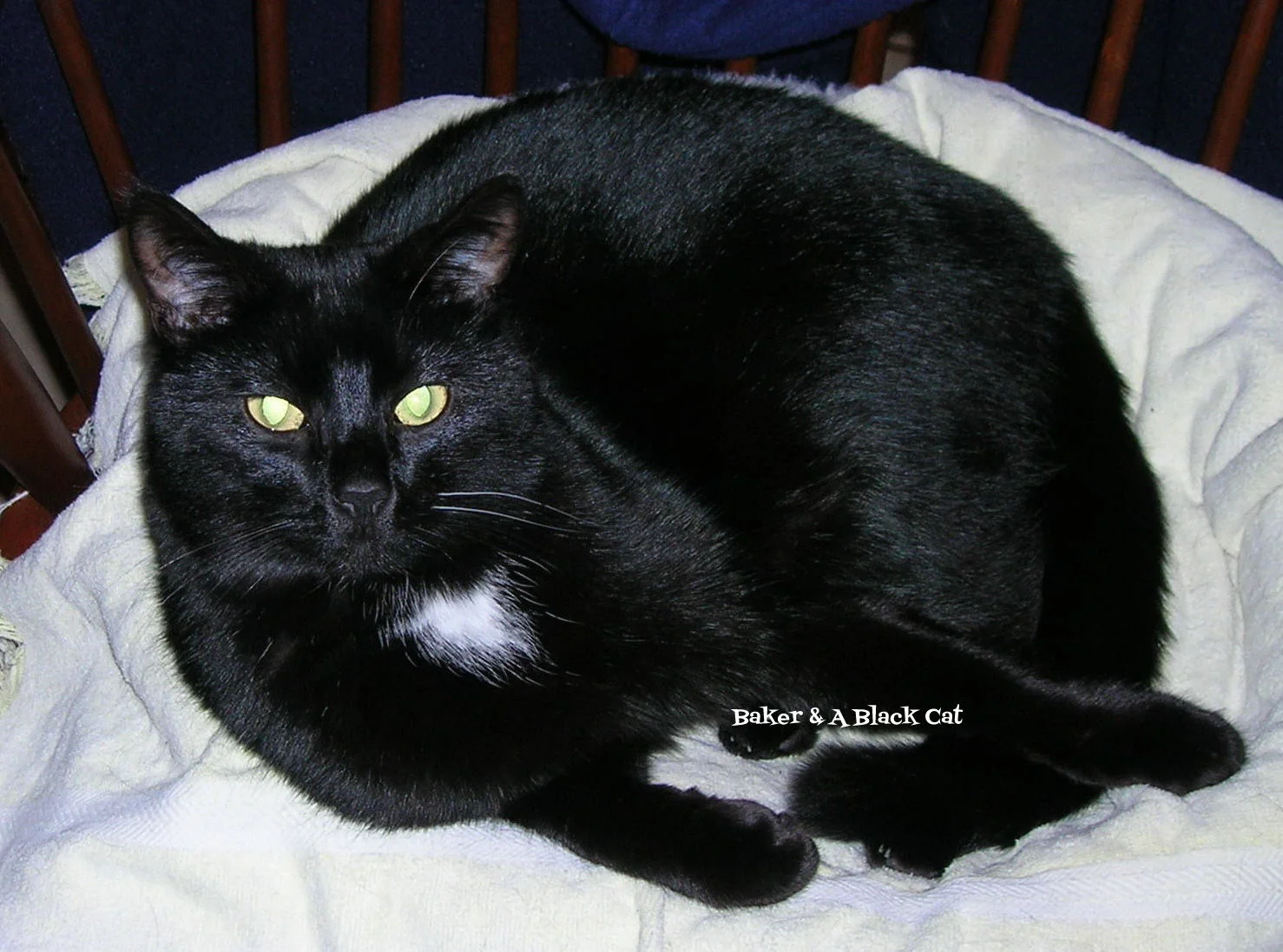 Duncan (~1999 - 2012)