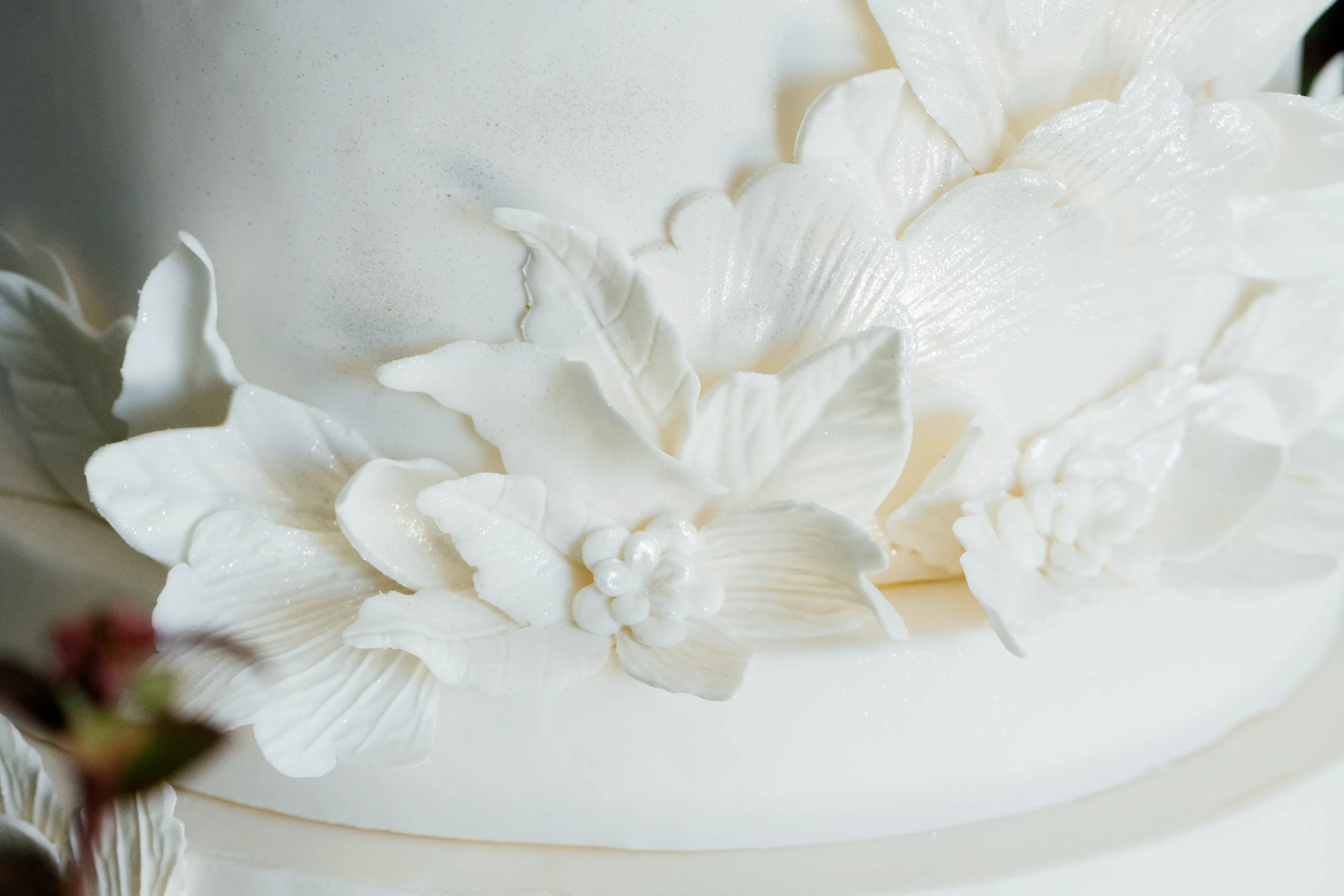 A STUDY IN IVORY