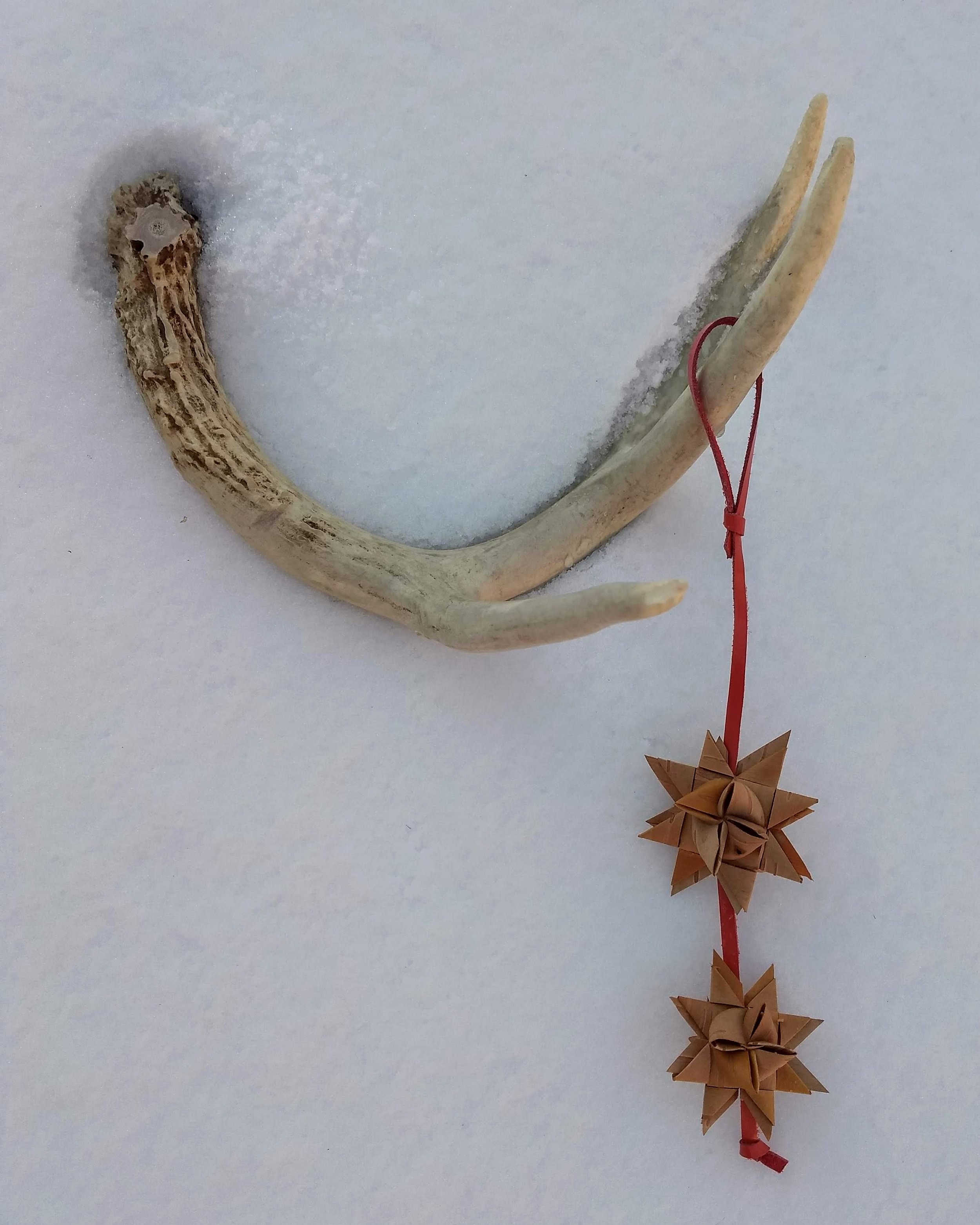 Double Star Ornament 