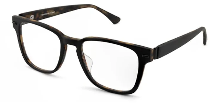 Colorado St Black-Tort-side.jpg