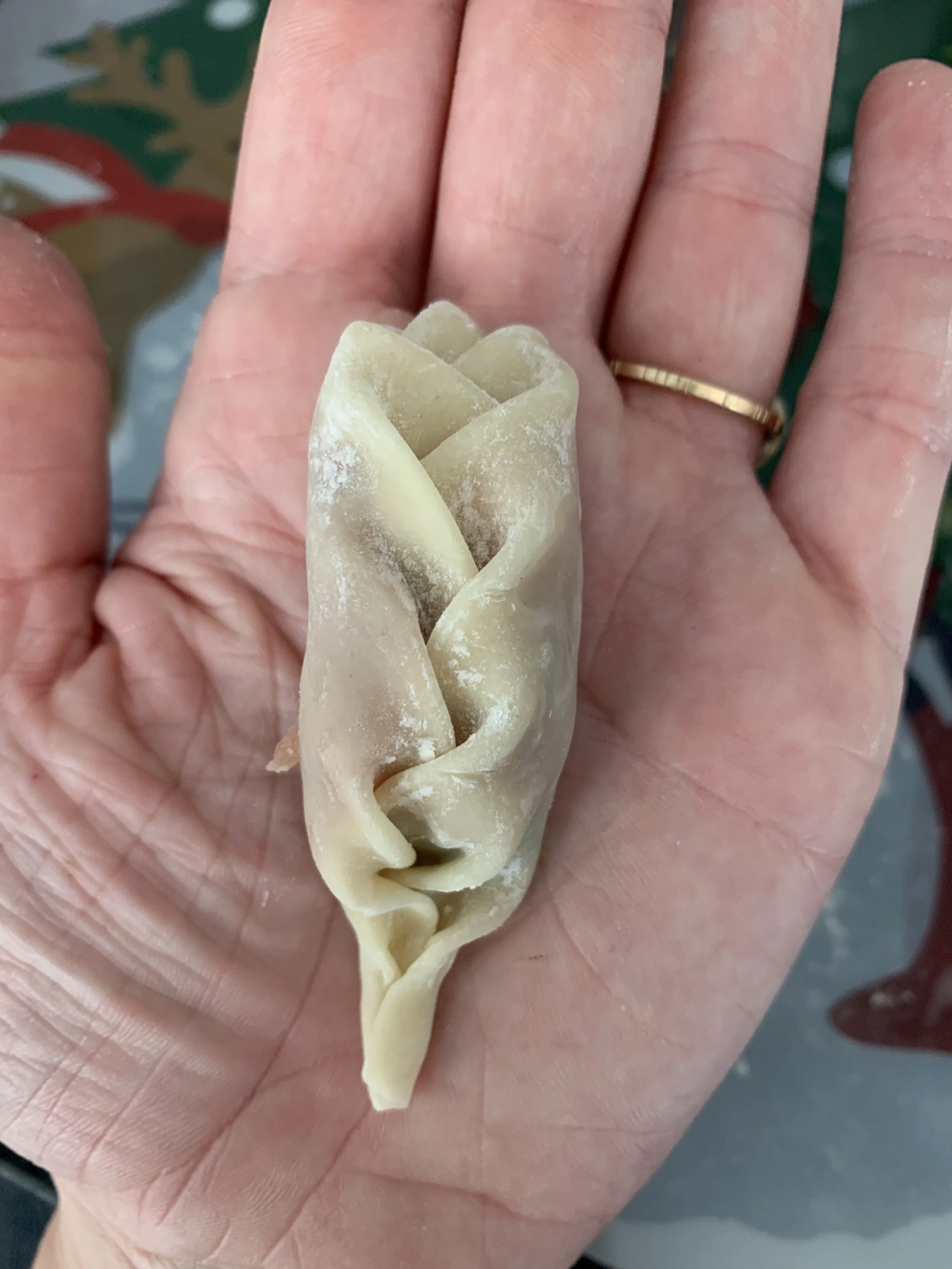 Dumpling Fold