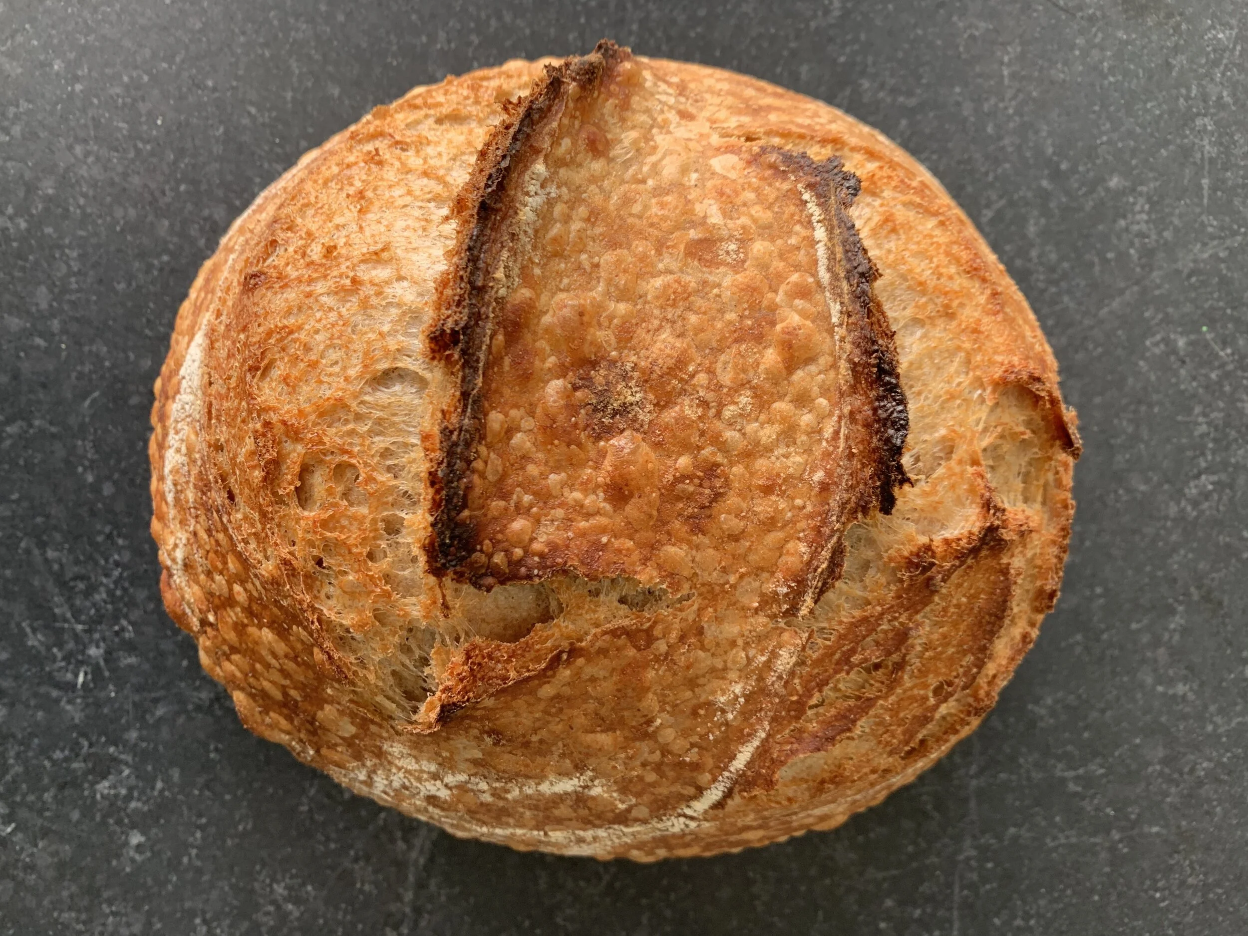 Sourdough Loaf