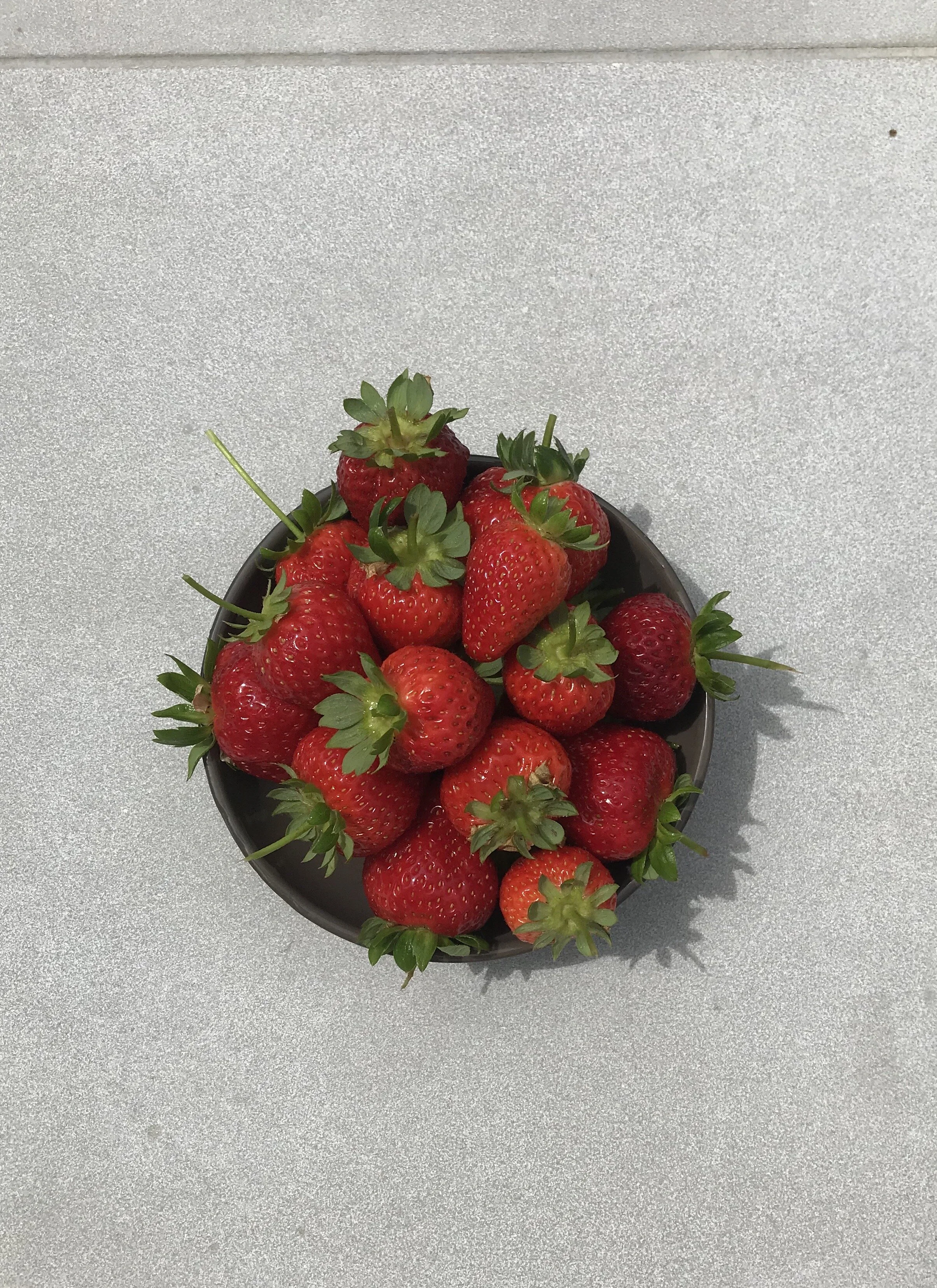 Homegrown Ingredients