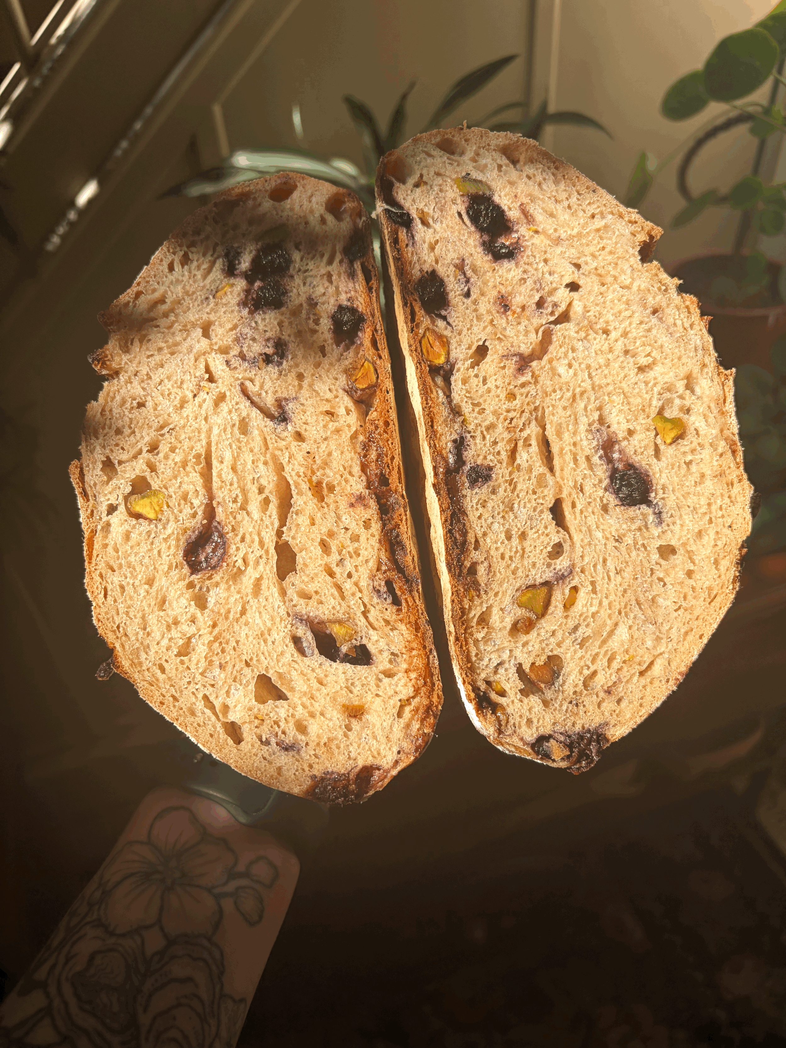 Chocolate Pistachio Blueberry Sourdough