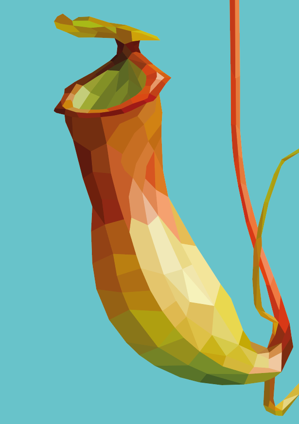 Geo Pitcher Plant.PNG