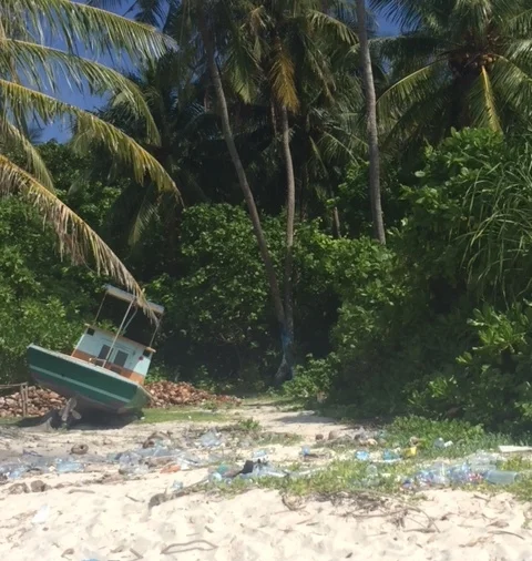 The Other Side of Paradise