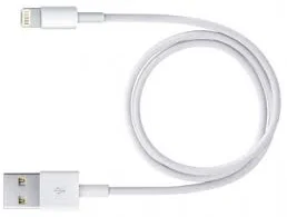 apple lightning charger.jpg