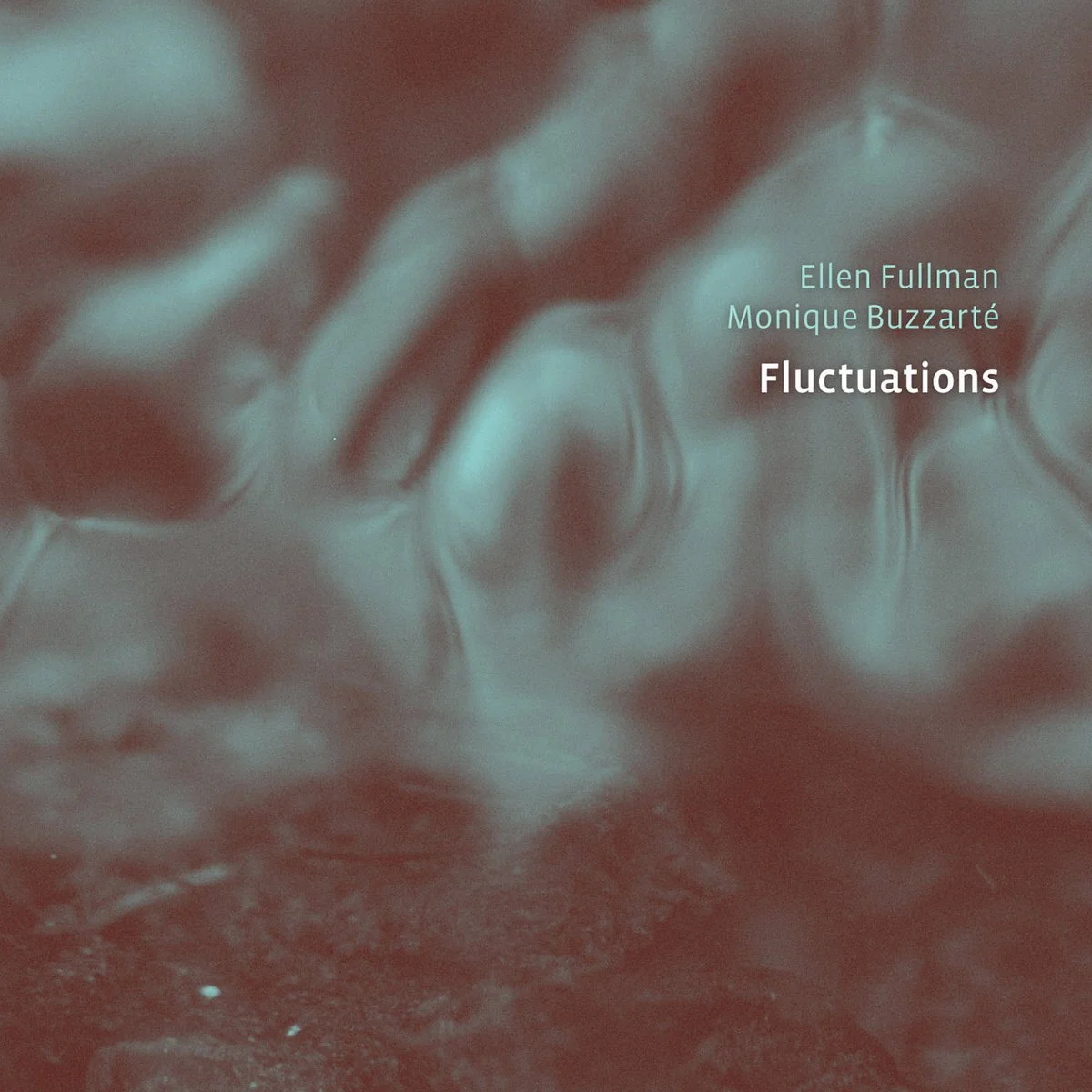 Fluctuations_DeepListeningInstitute.jpg