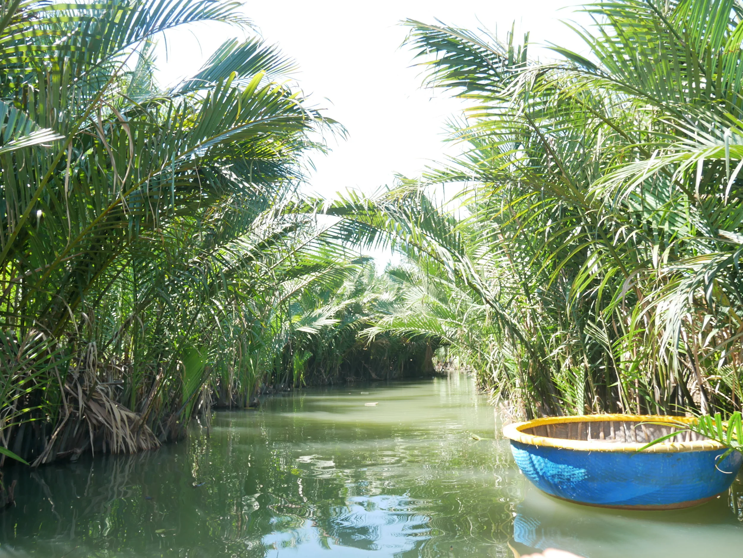  Coconut Basket boat on Thu Bon river. Fun experiences of Hoi An 