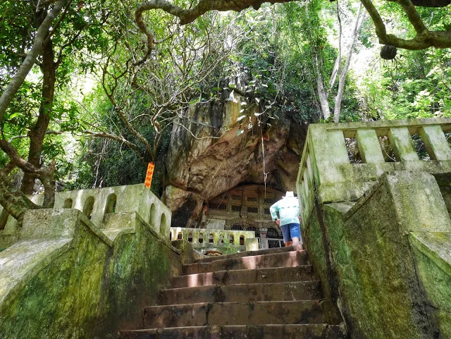  steep steps through the jungle 