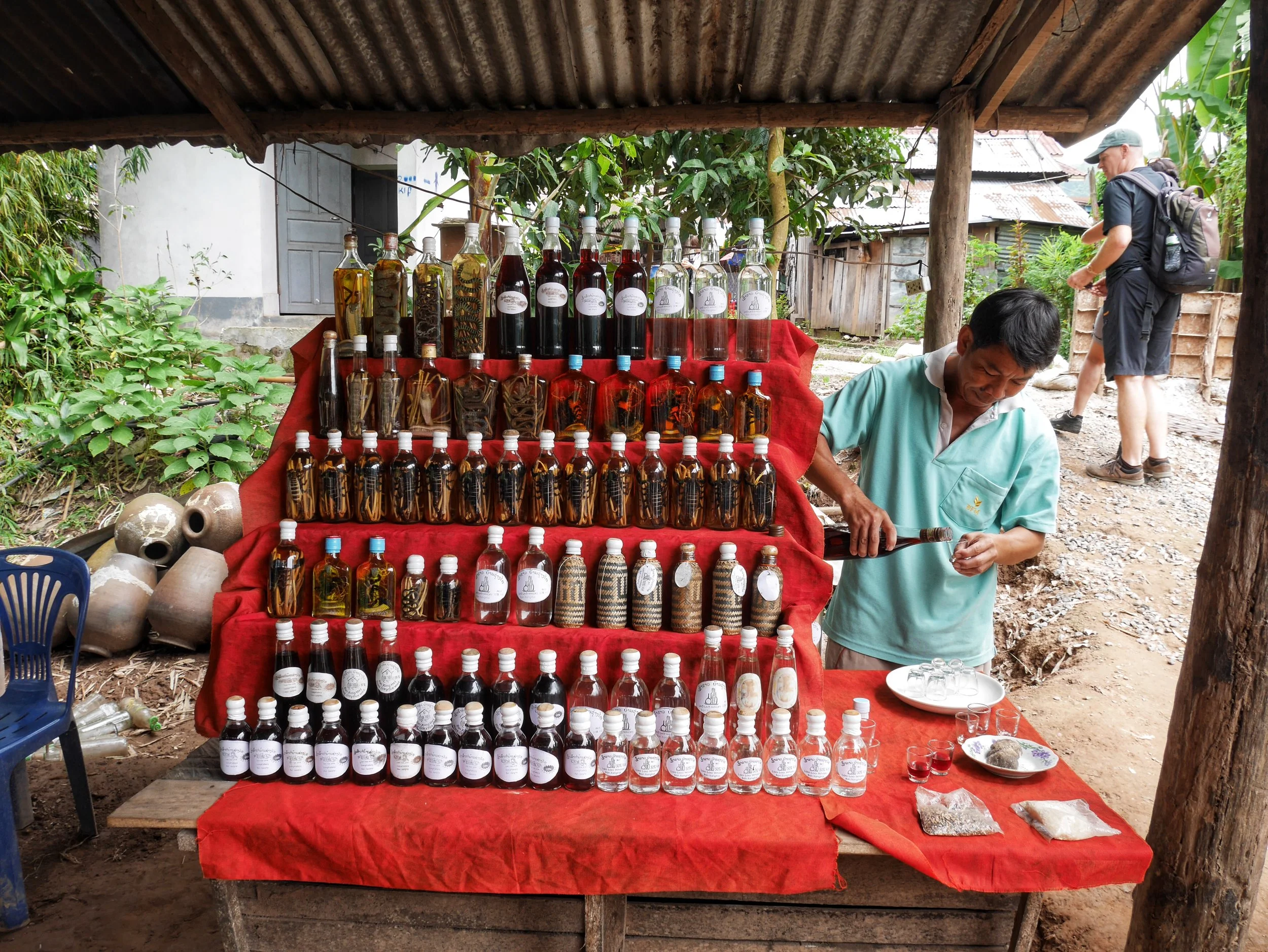  snake whisky at the Whisky Village near the Pak Ou Caves, Luang Prabang, Laos 