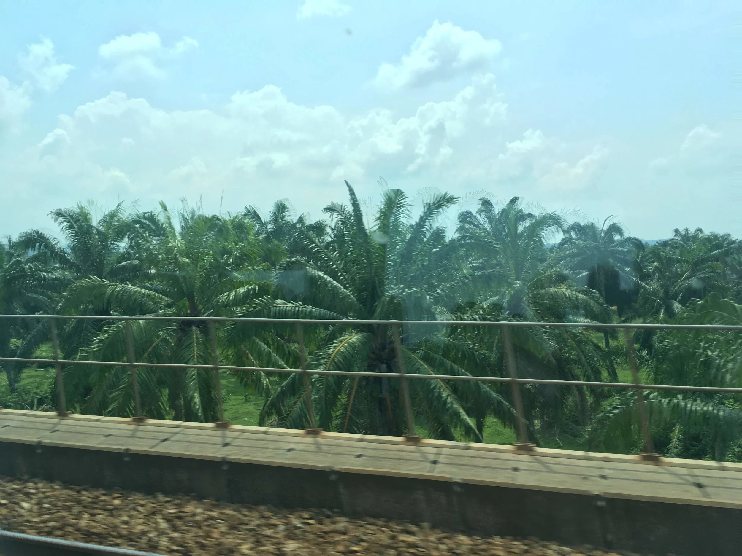  the view from the KLIA Ekspress while traveling from the airport to Kuala Lumpur city center 