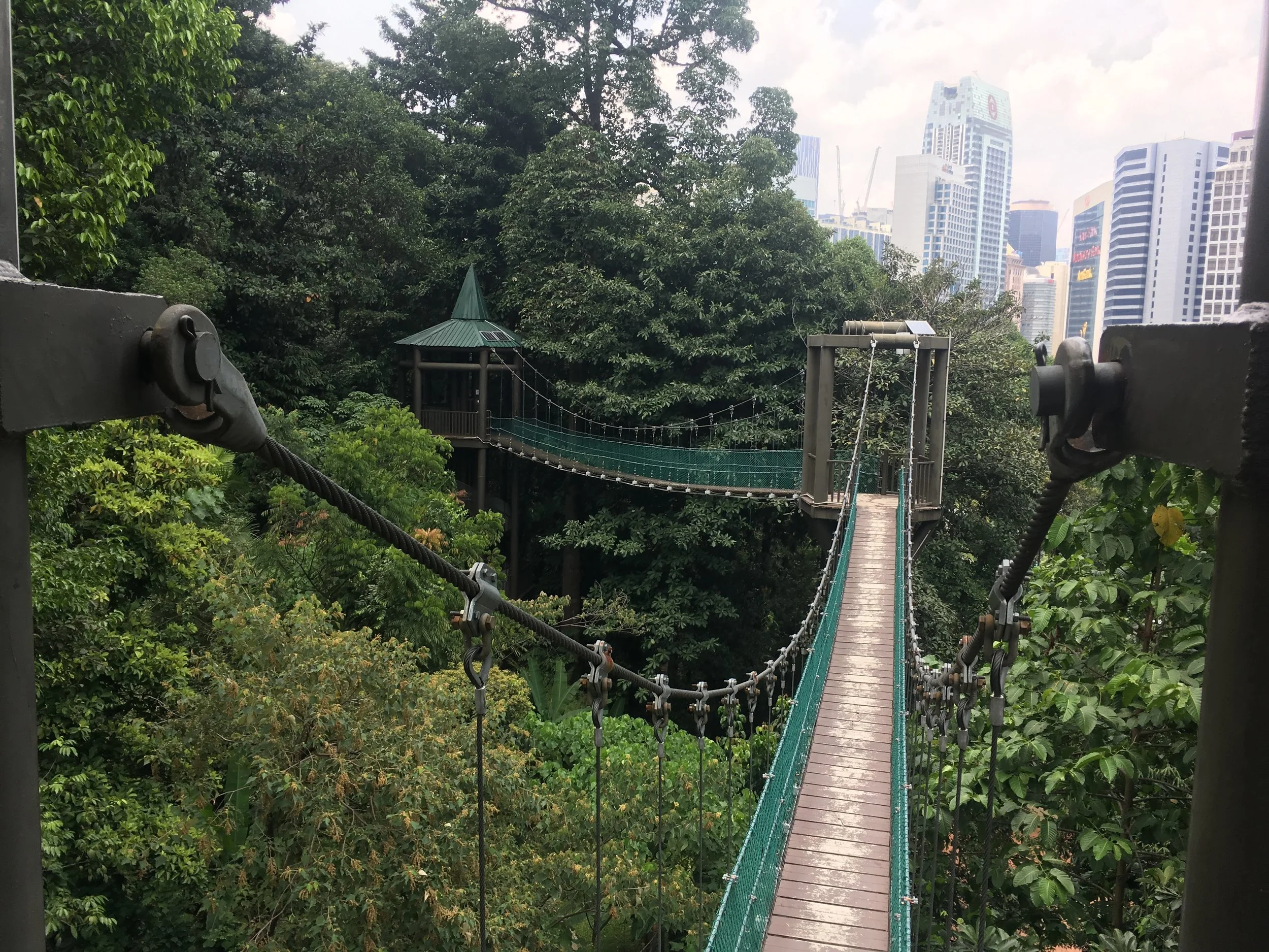  the Canopy Walk is a series of towers and connected bridges 