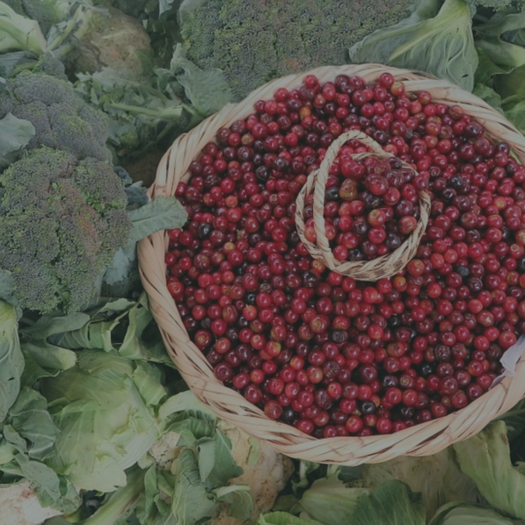 Peru: The Healing Land (2-Min Video)