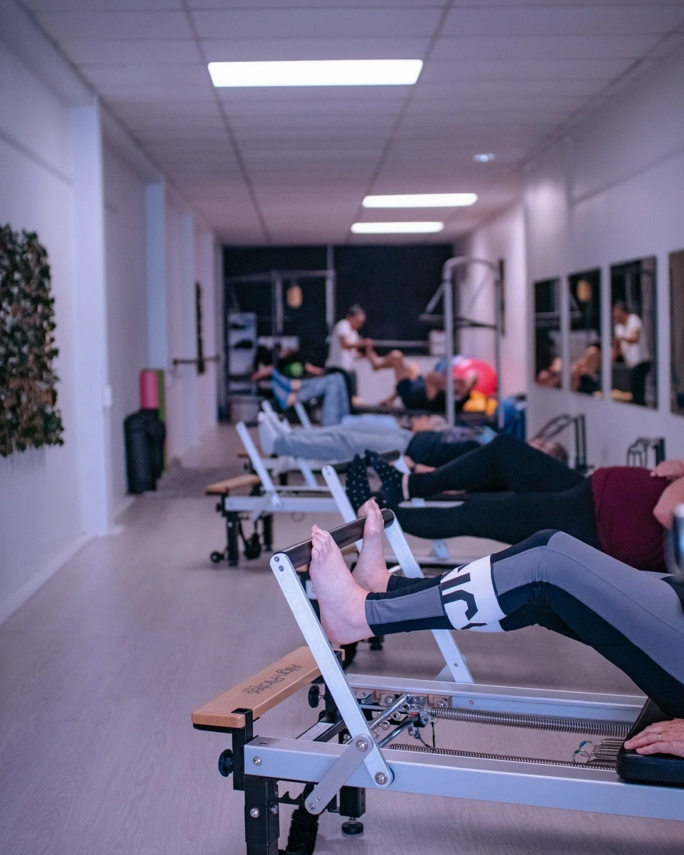We’re moving.
We’re shaking.
We’re shining.
Come in and join us. 🌟