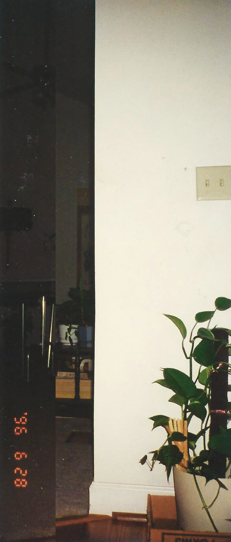 l.jpg