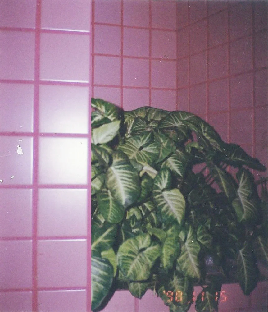 o.jpg