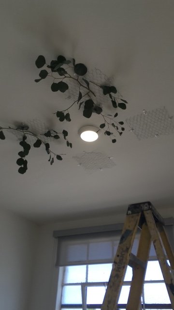 24B06077-C2FC-465A-ACD2-FDBB494FFEB5.JPG