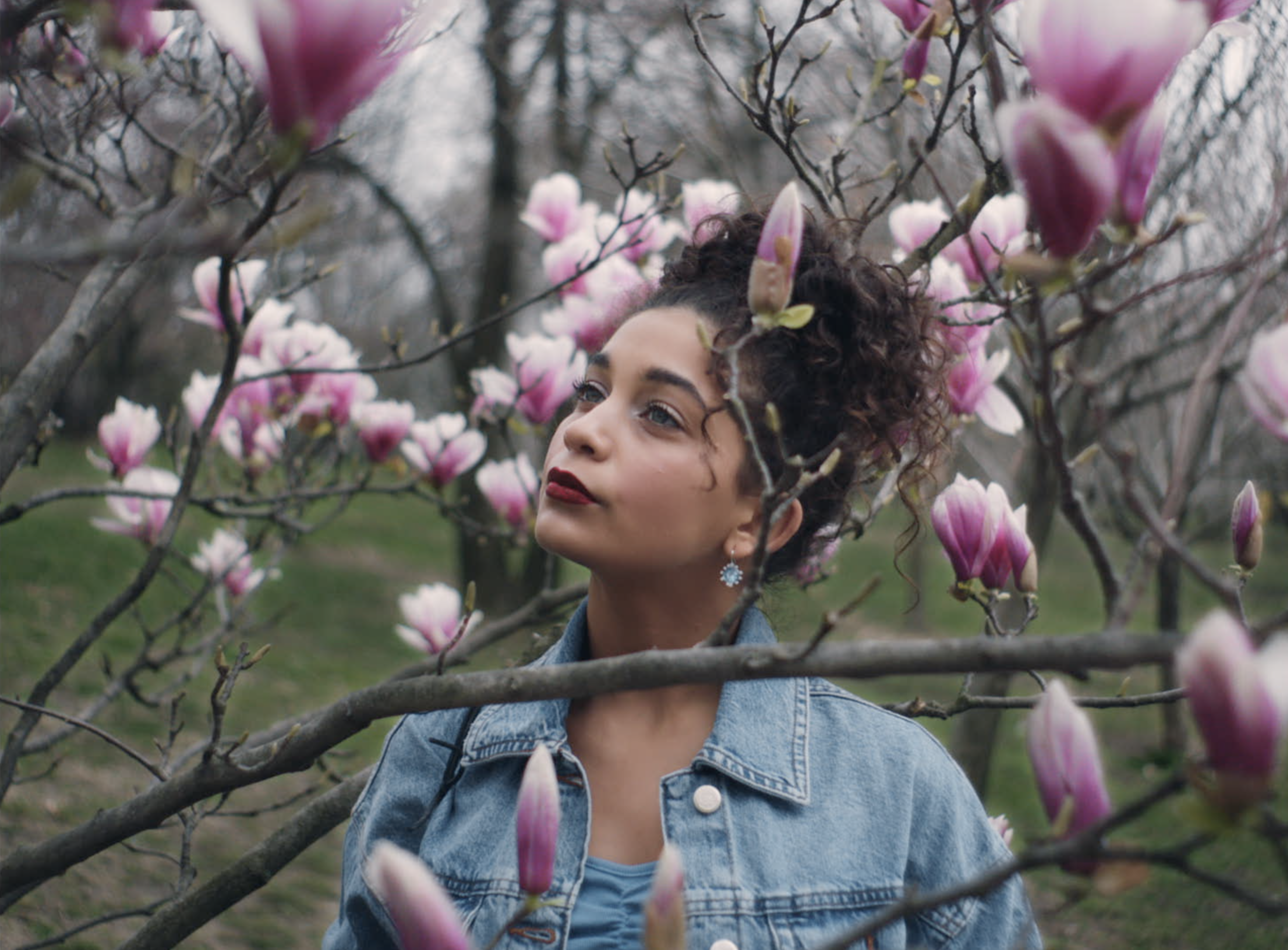 Screen Shot 2019-08-05 at 10.14.19 AM.png