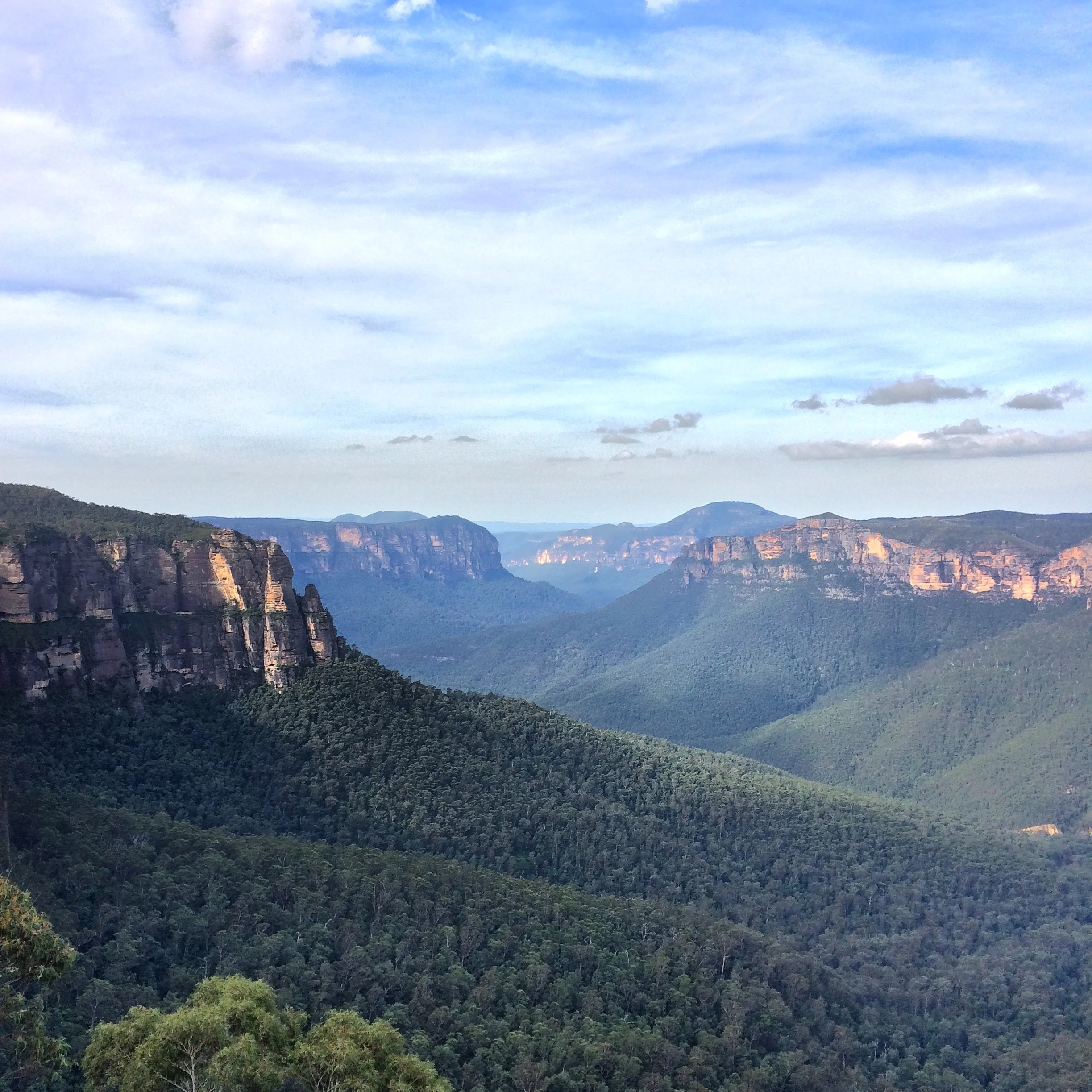 Looking out over the Blue Mountains