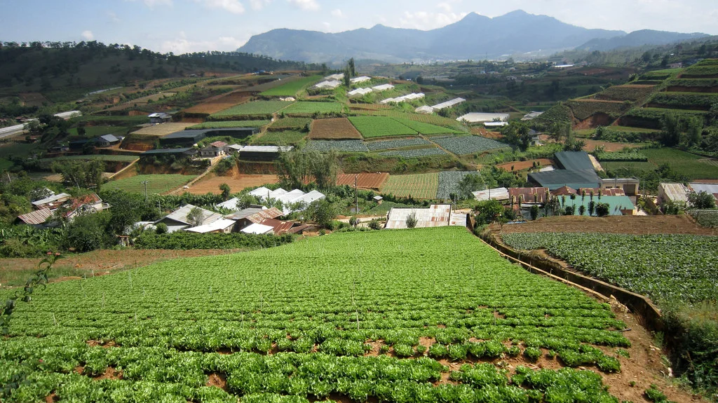 dalat.jpg
