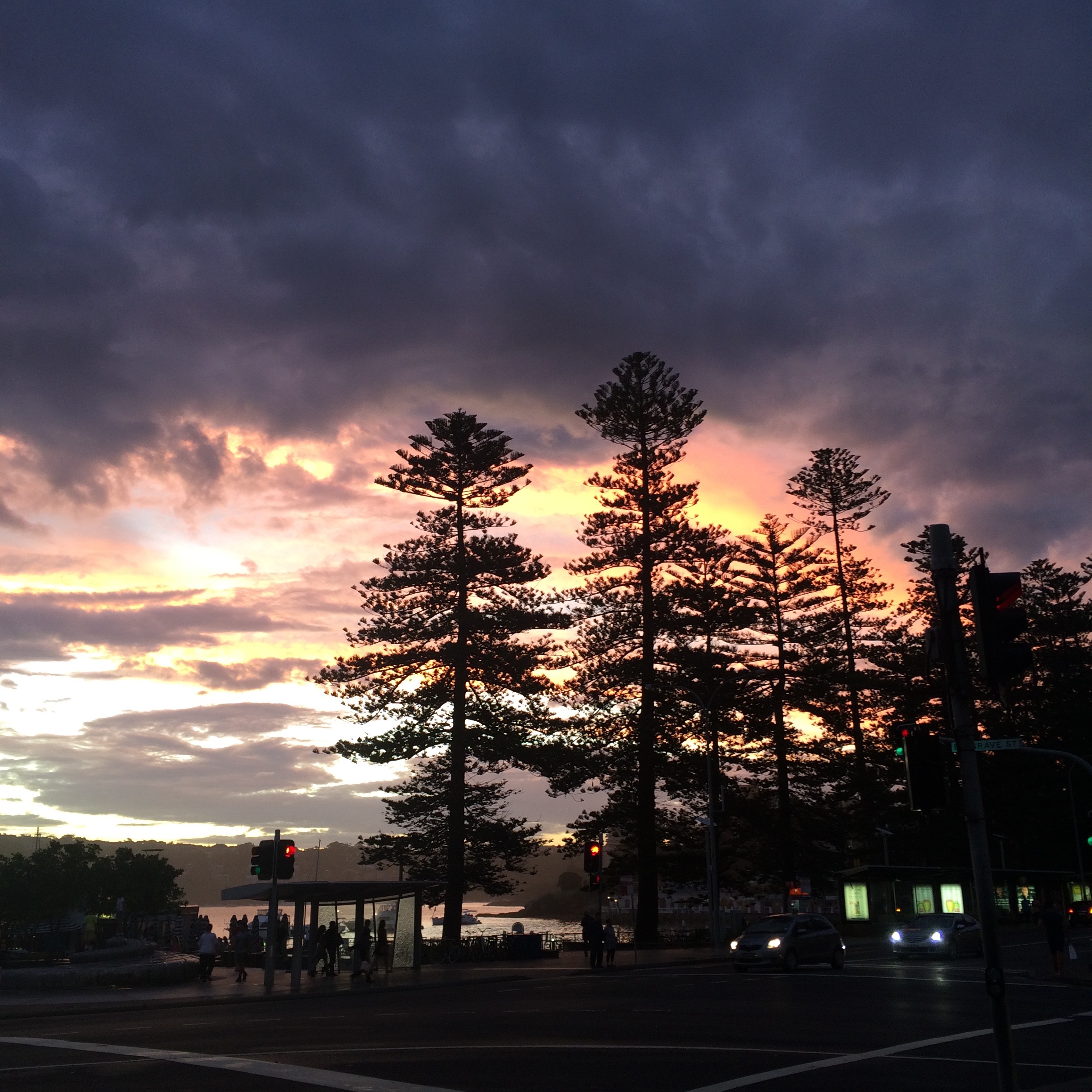 Manly at Dusk