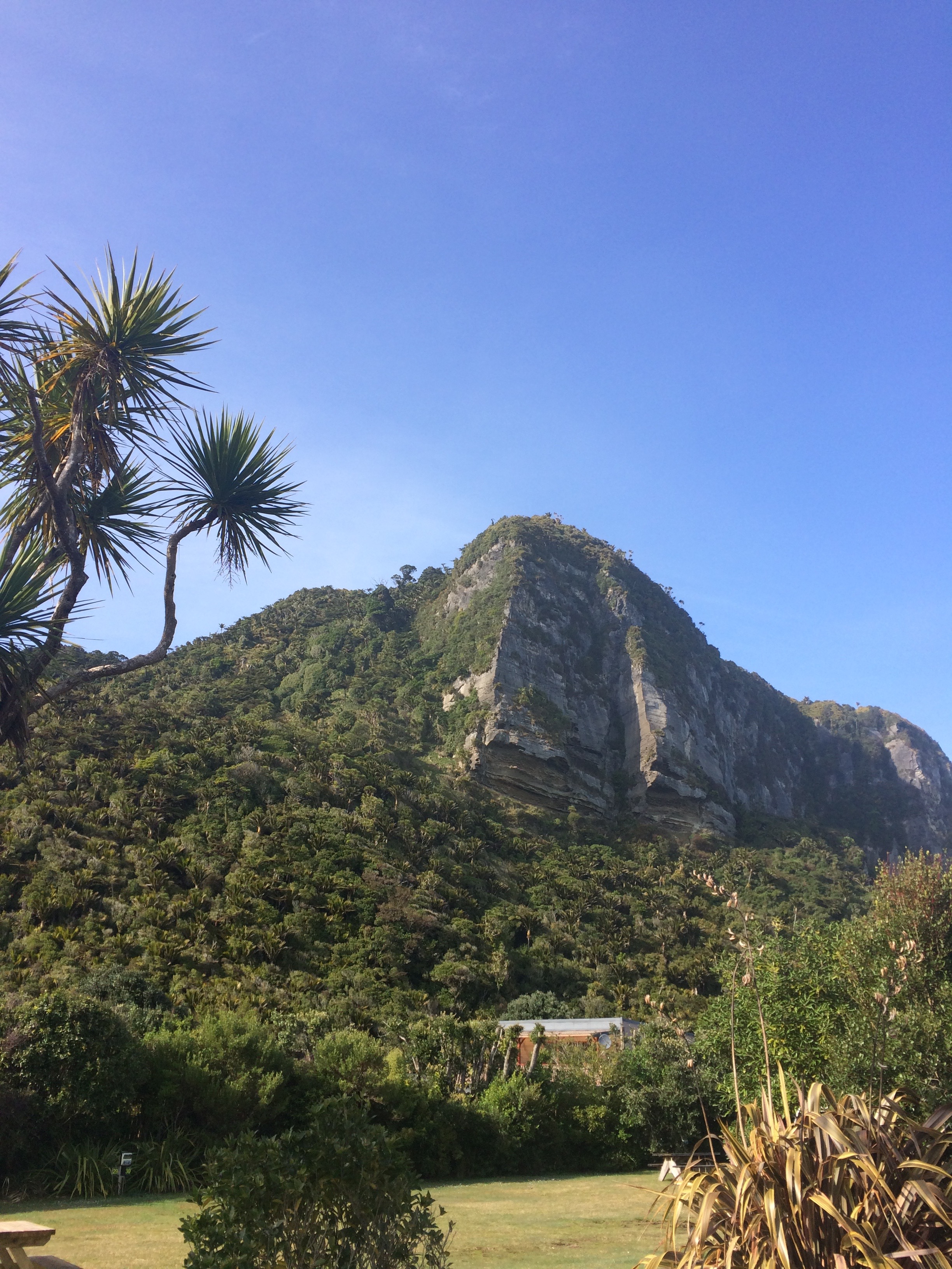 Punakaiki