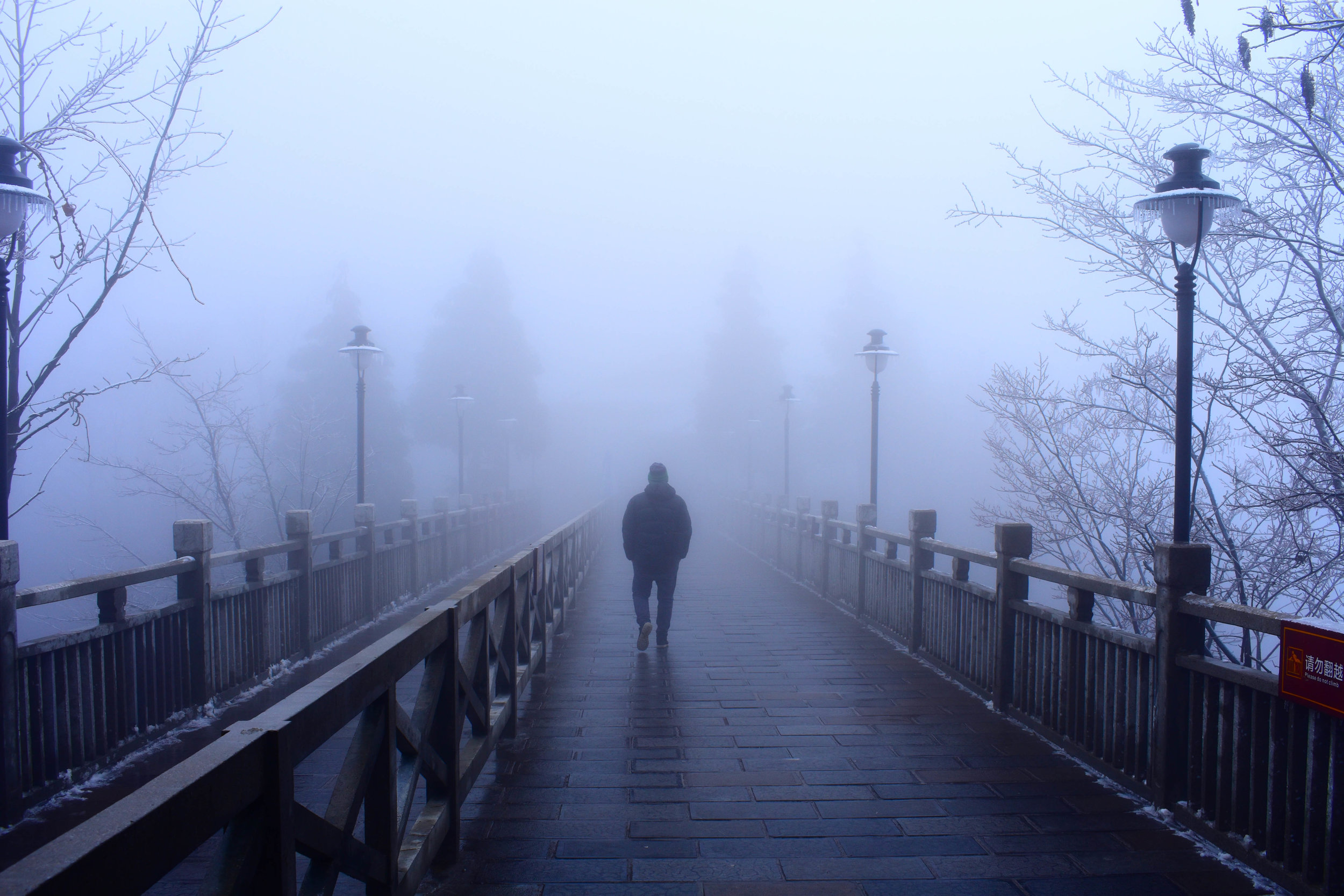Zhangjiajie Through the Mist